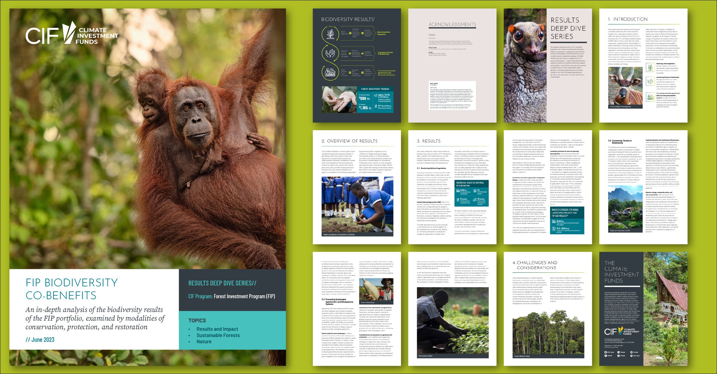 A promotional poster for the Climate Investment Funds featuring a large photo of an orangutan and various pages of a detailed biodiversity report, with sections on results, biodiversity, and conservation.