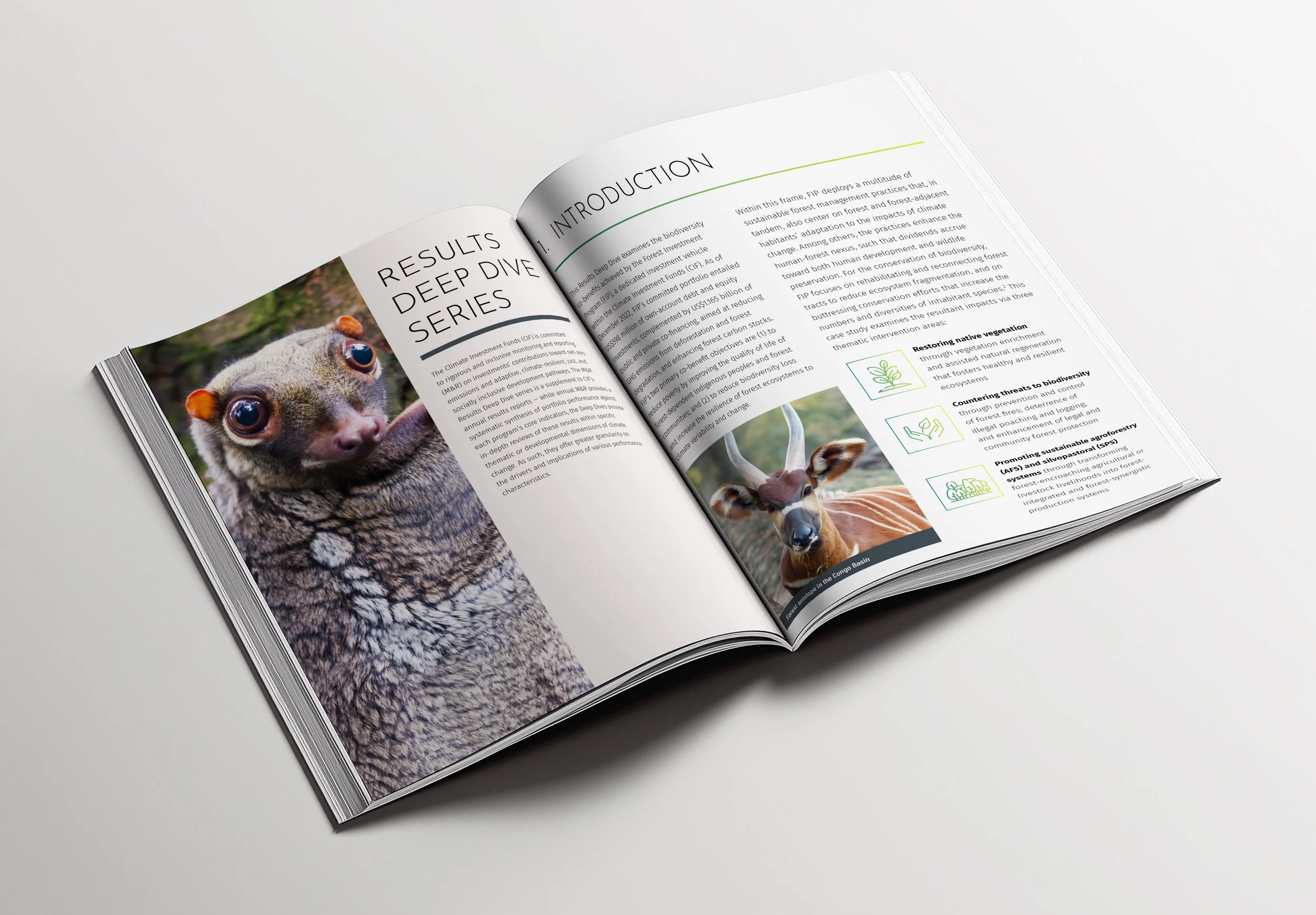Open magazine with an article titled 'Results Deep Dive Series,' featuring a close-up photo of an animal with brown and cream fur and large eyes, along with photos of other animals such as a deer in a natural setting.
