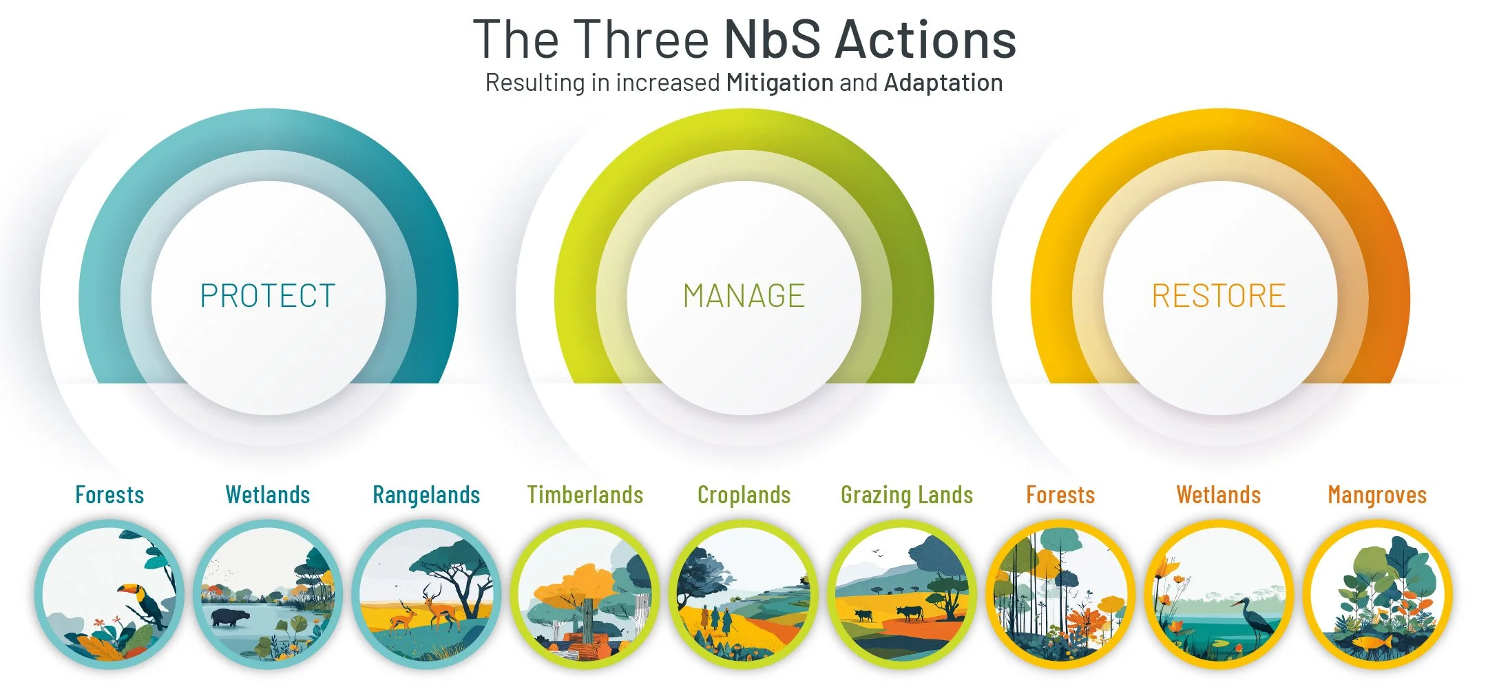An infographic titled 'The Three NBS Actions' showing three large concentric circles labeled 'Protect,' 'Manage,' and 'Restore.' Beneath the circles are smaller icons representing different natural environments, including forests, wetlands, rangeland