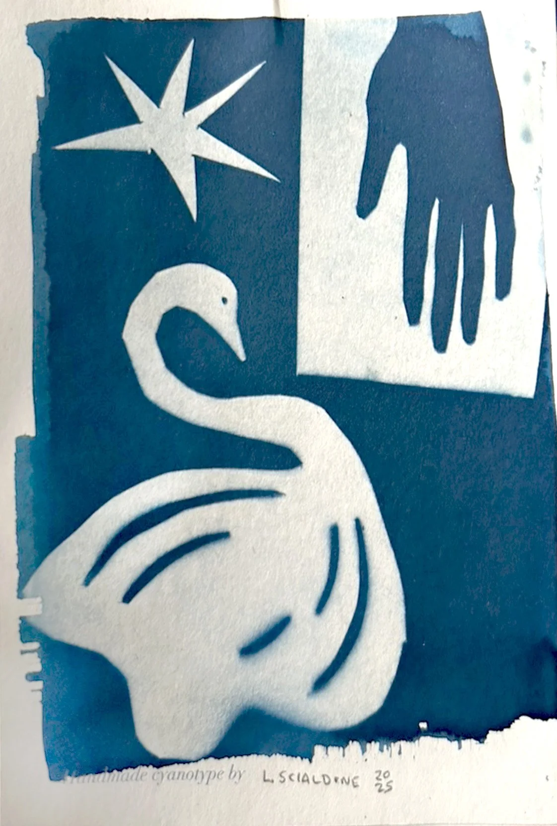 cyanotype print hand cut shapes swan hand star