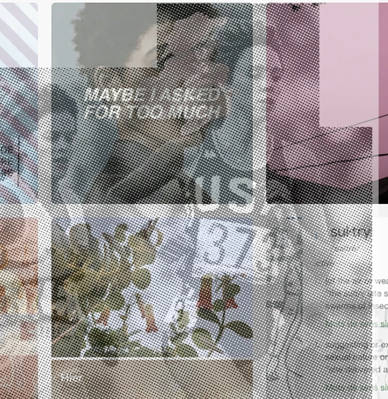 Collapsed mosaic of various images including a sign that reads 'Have a nice day,' a person with a speech bubble, a wooden hand symbol, and some flowers, with different background colors.