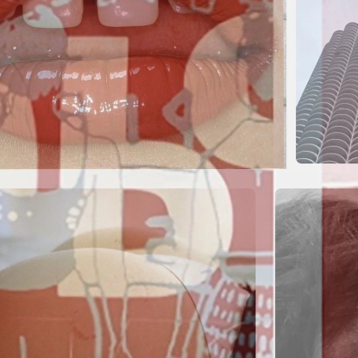 Overlay of multiple close-up images including lips, a building, a dog, and a patterned surface.