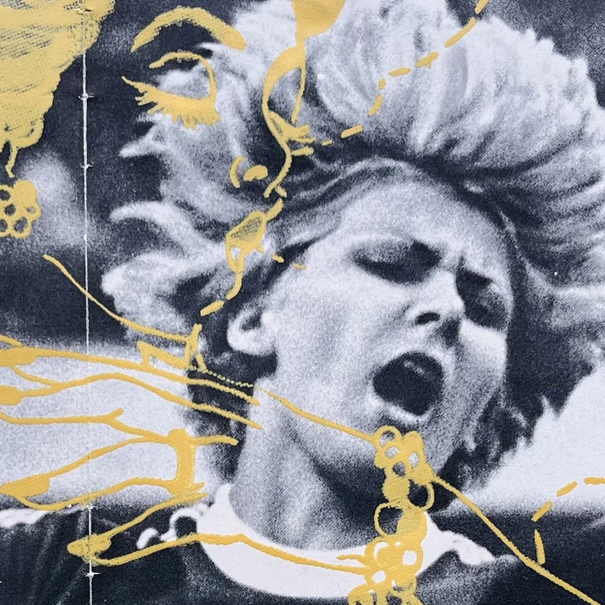 Contact Goldengen Print for art licensing and collaborations.