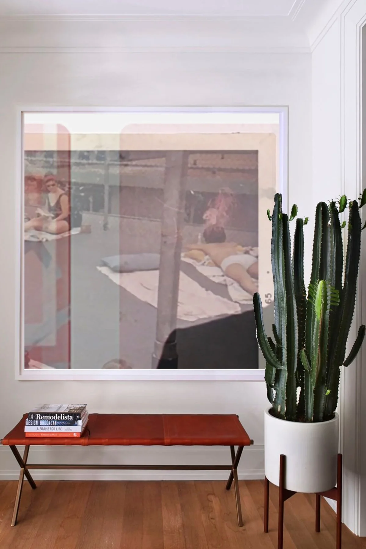 A potted tall cactus stands next to a wooden bench with books on top, positioned in front of a wall with a large framed photograph or mirror reflecting a woman lying on bed and another woman sitting nearby.