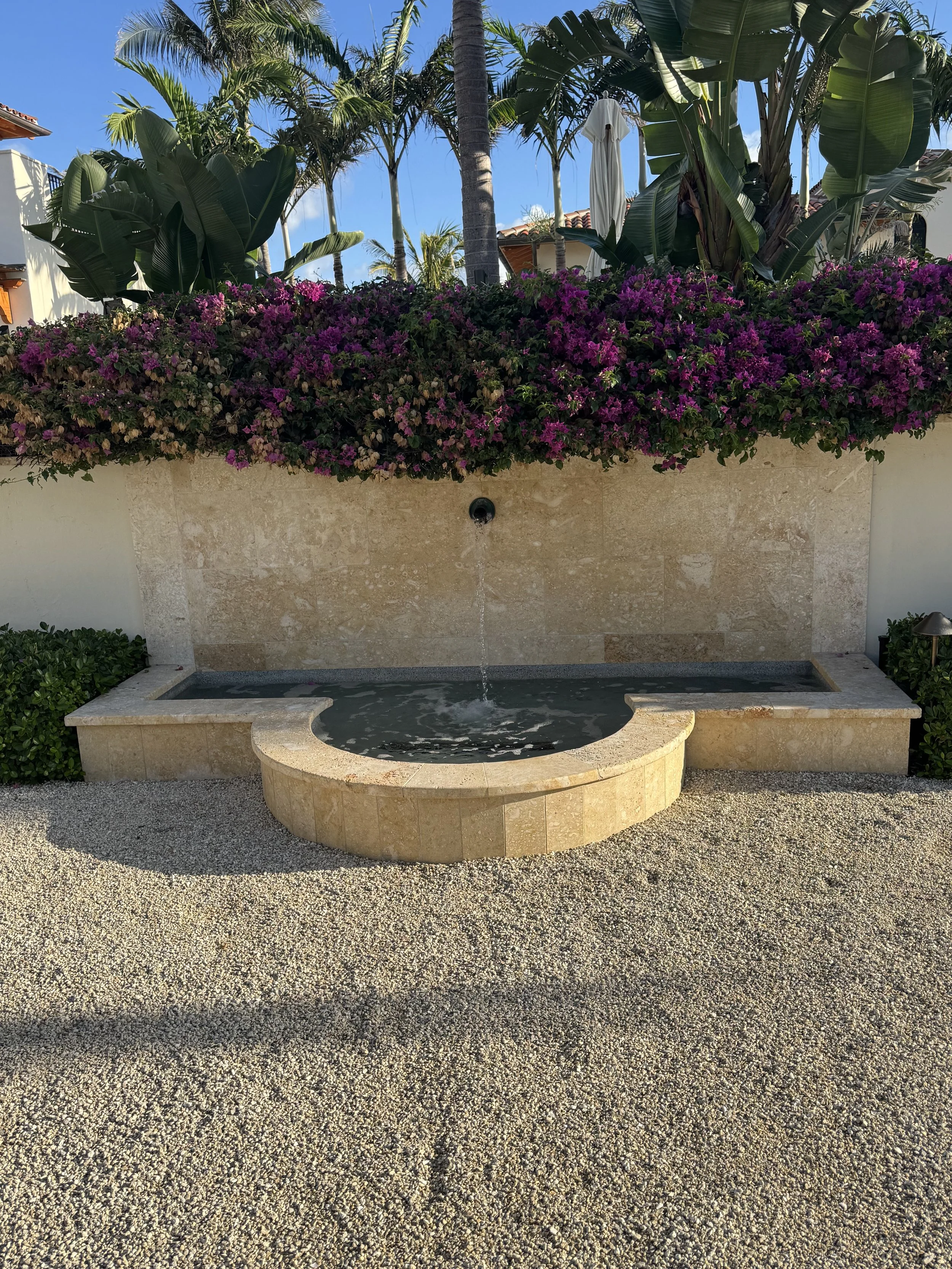 IMG_2515.jpeg