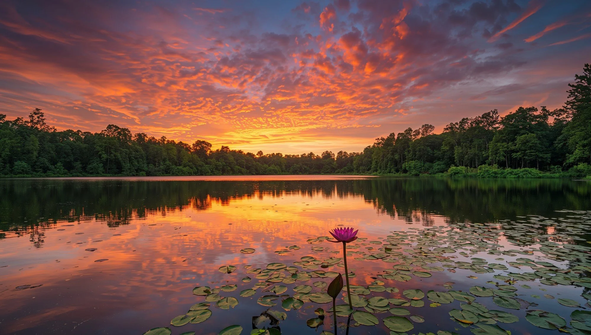 SV-Lake-75501561-web.jpg