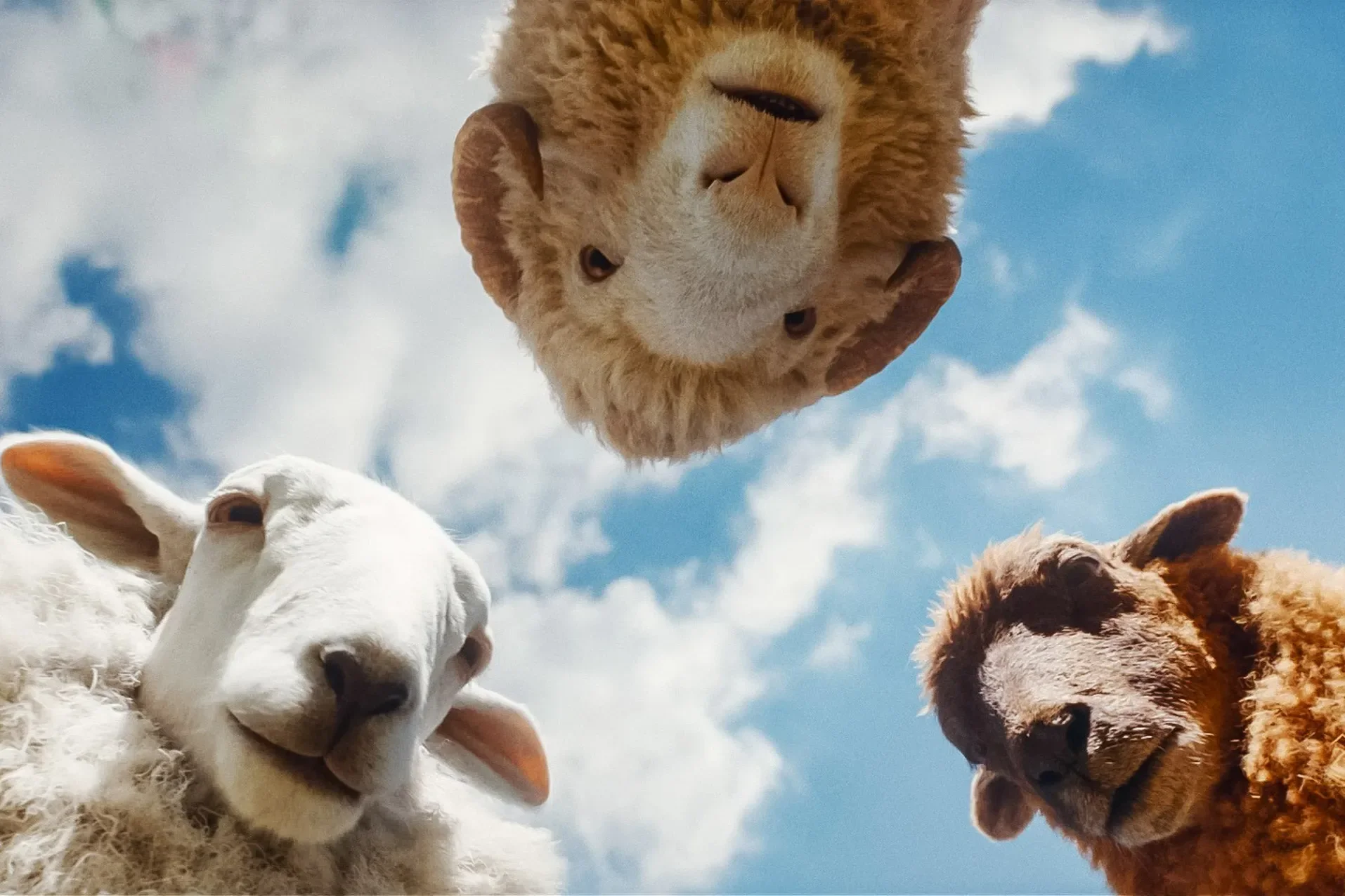 What “The Sheep Detectives” Doesn’t Understand About Sheep