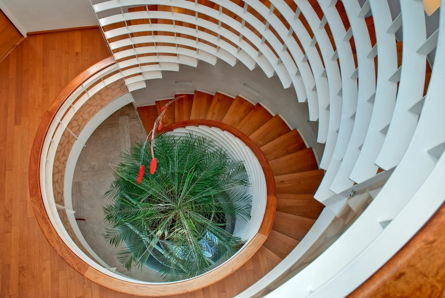 Casa Chimalistac