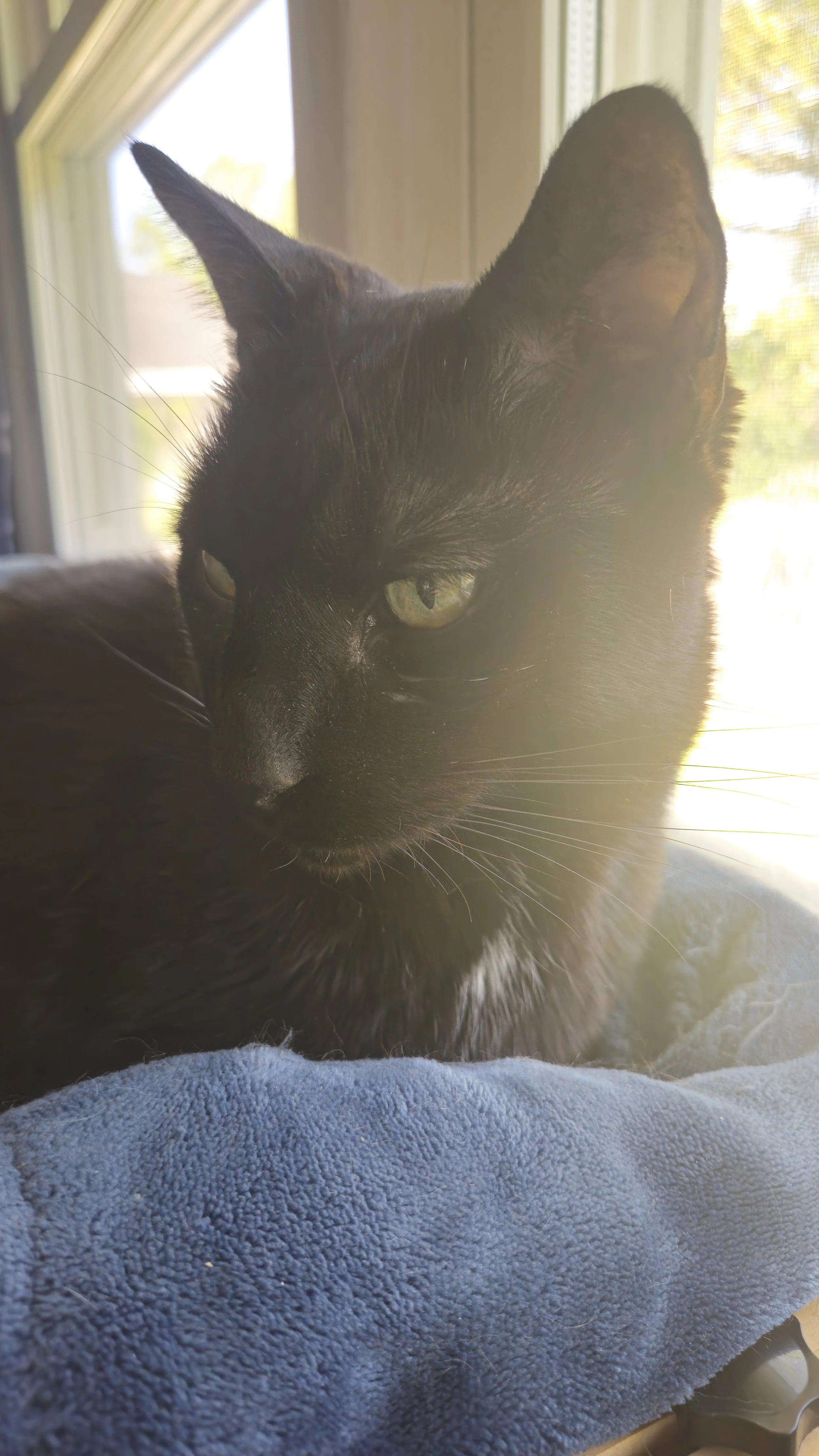 Following the Science: A New Direction for Buster