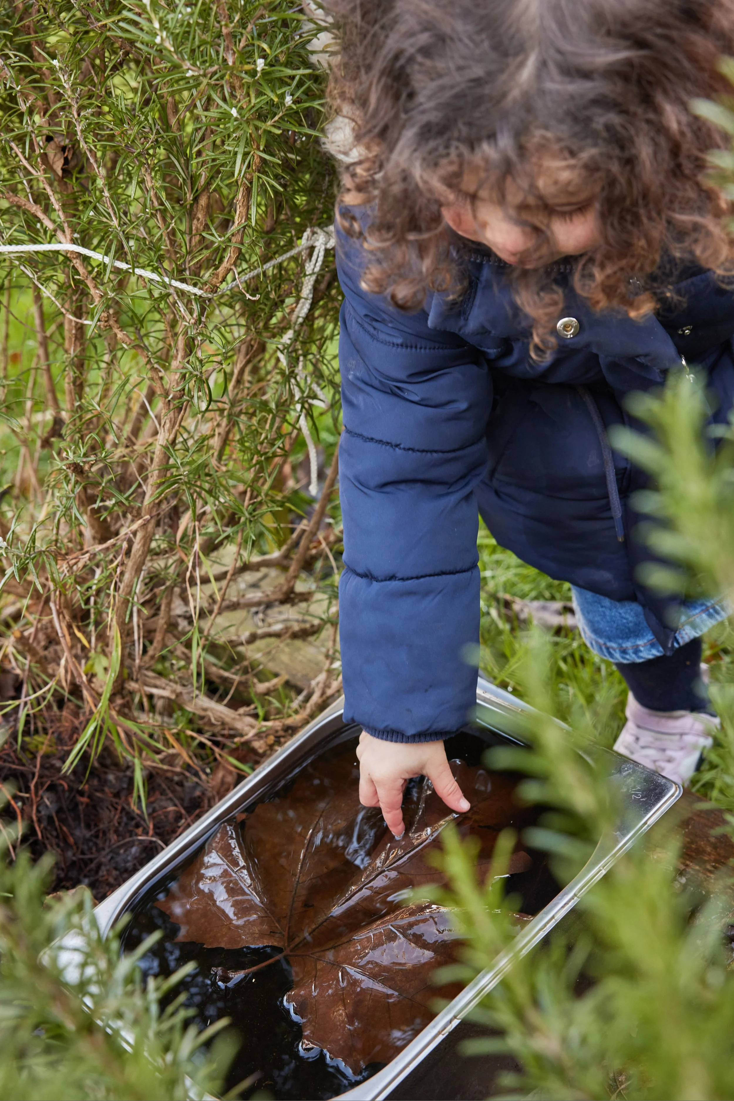 Child in a blue jacket placing a brown fallen leaf into a tray of water outdoors surrounded by green plants.