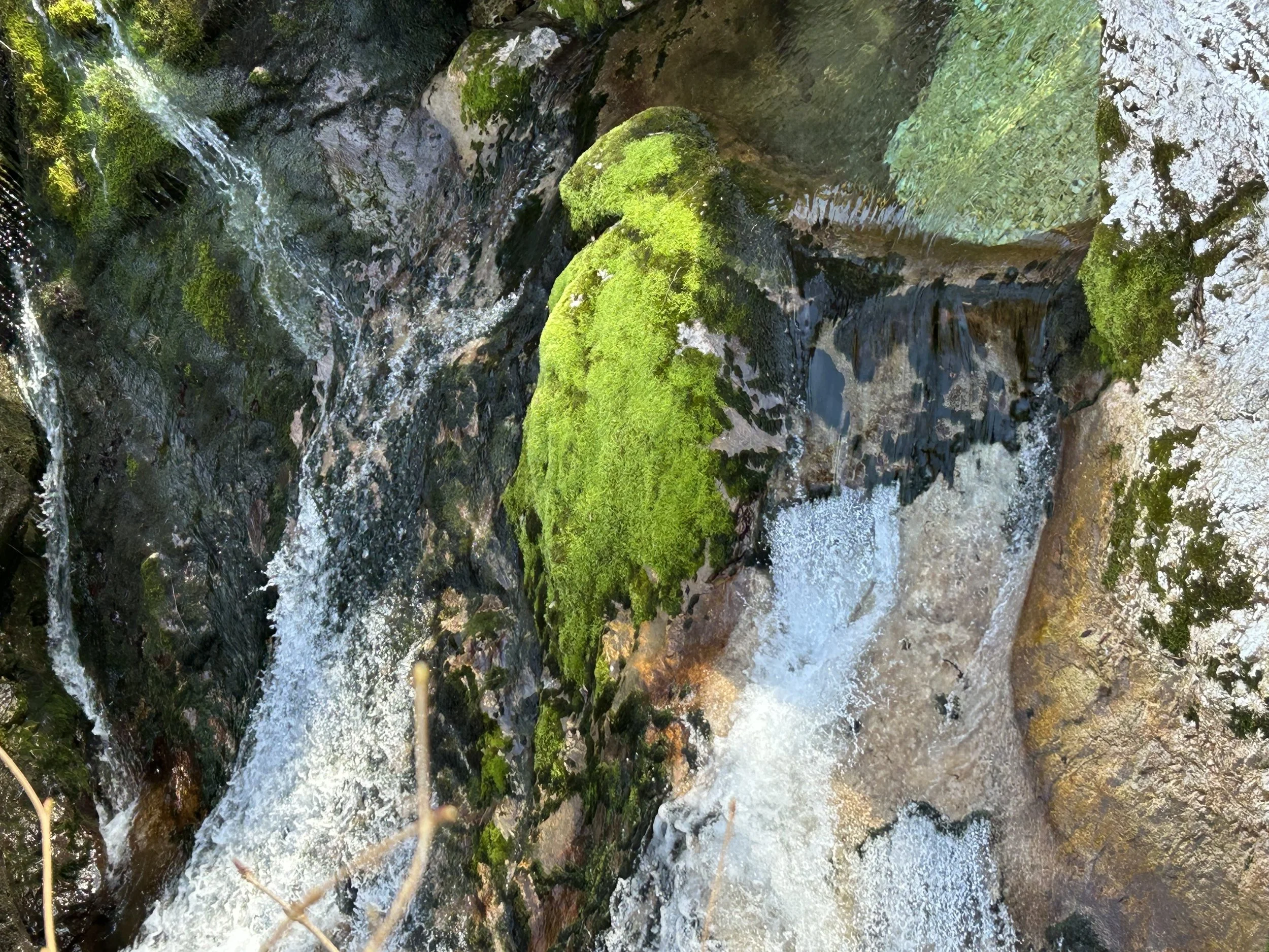 17 Z - Act IScene 5a IMG_2899.jpg