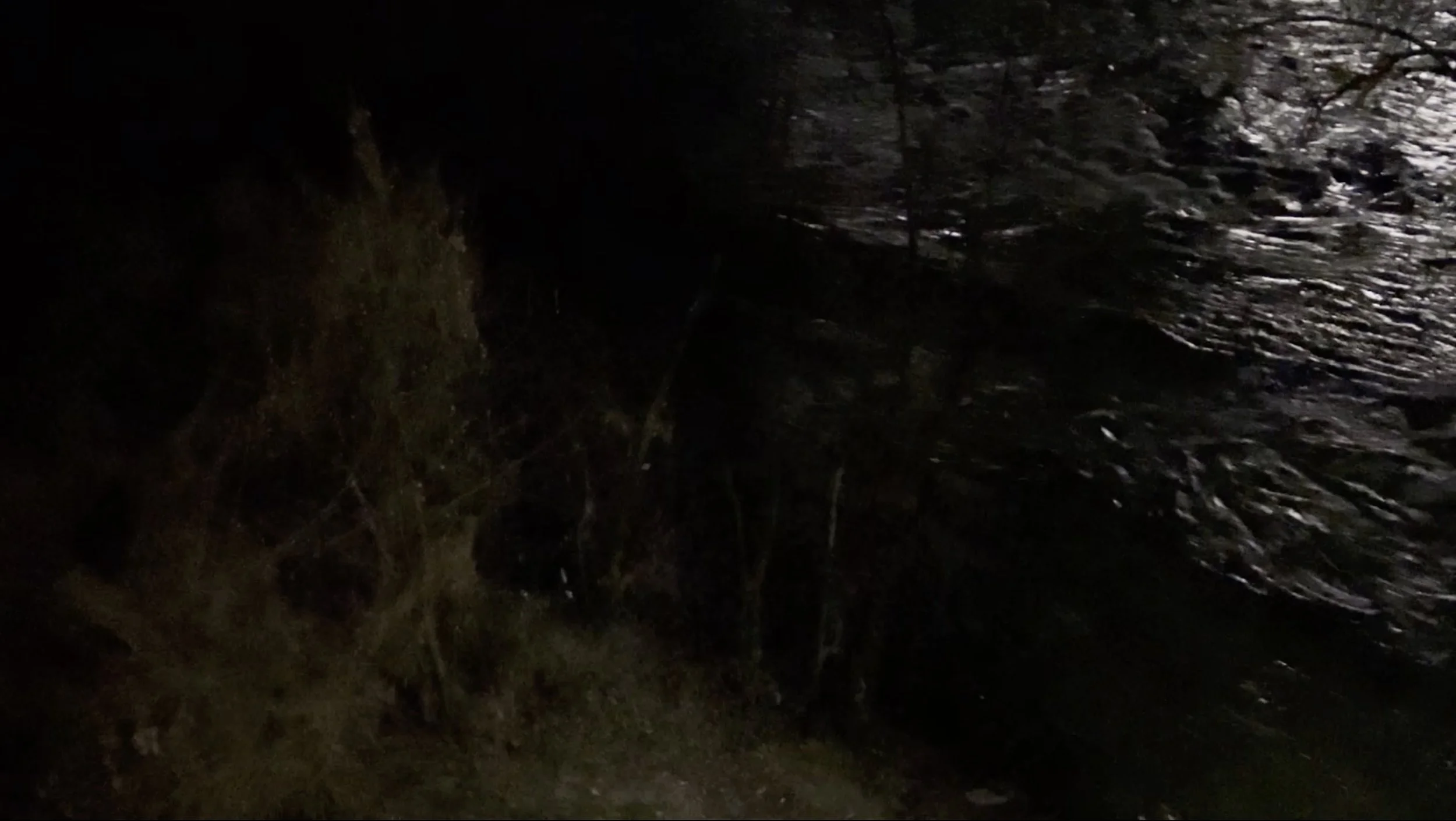 8 Z - Scene 1b STILL Rimske Toplice.jpg