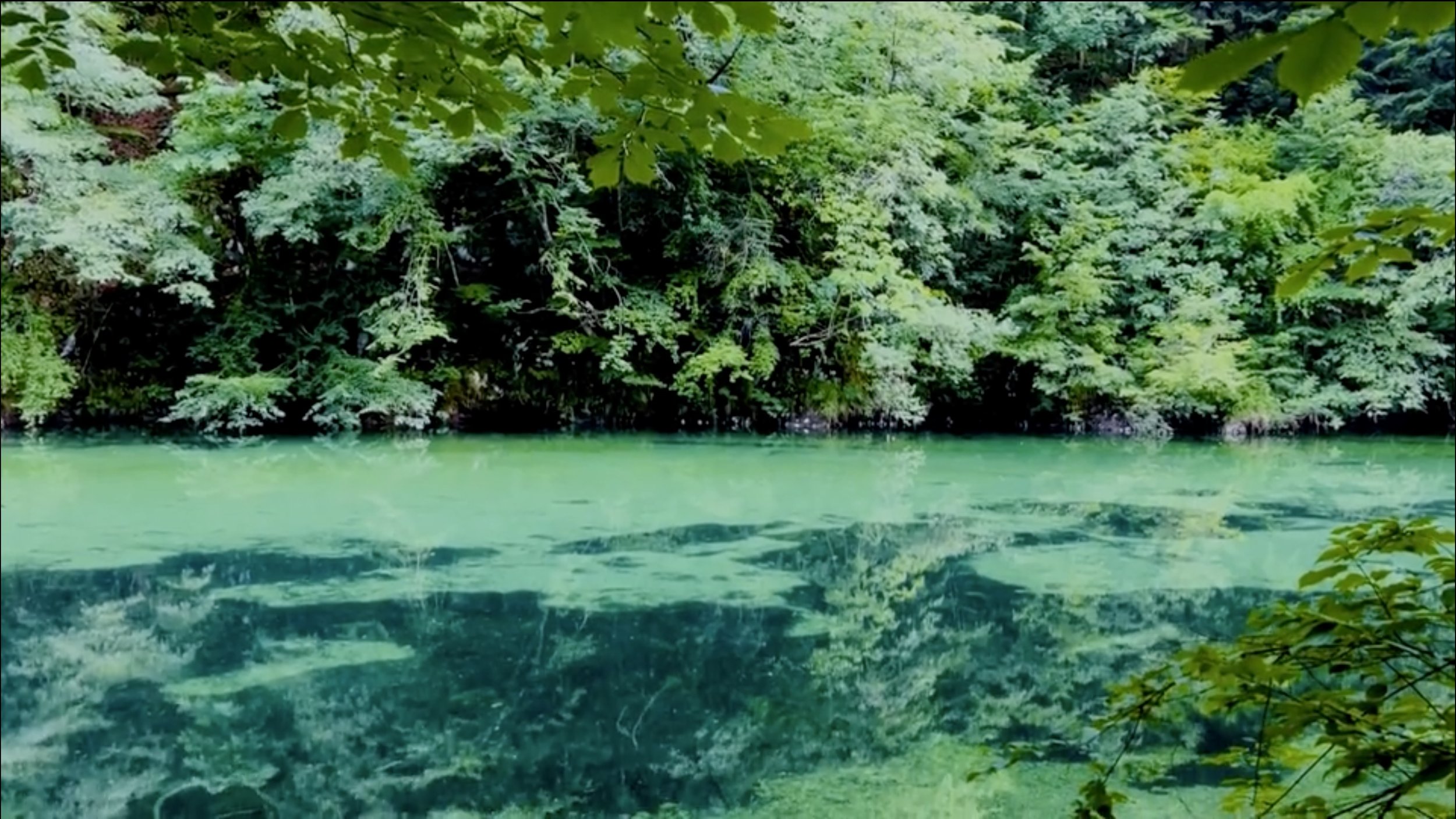 scene 5 through the looking glass, Idrijca River