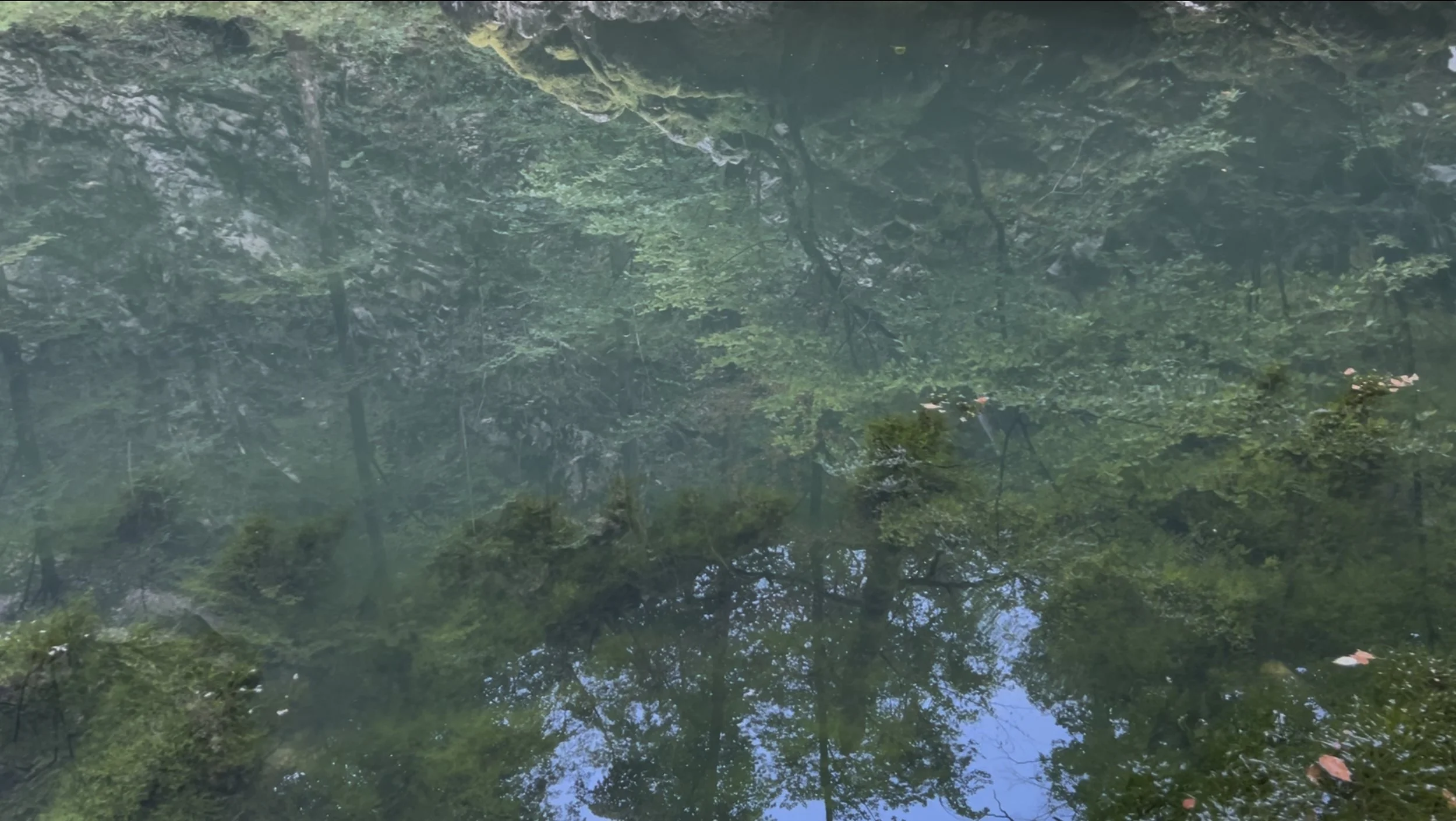 scene 4 vortex, divje jezero (wild lake)