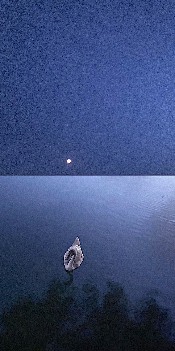 26 October 2023 20h12