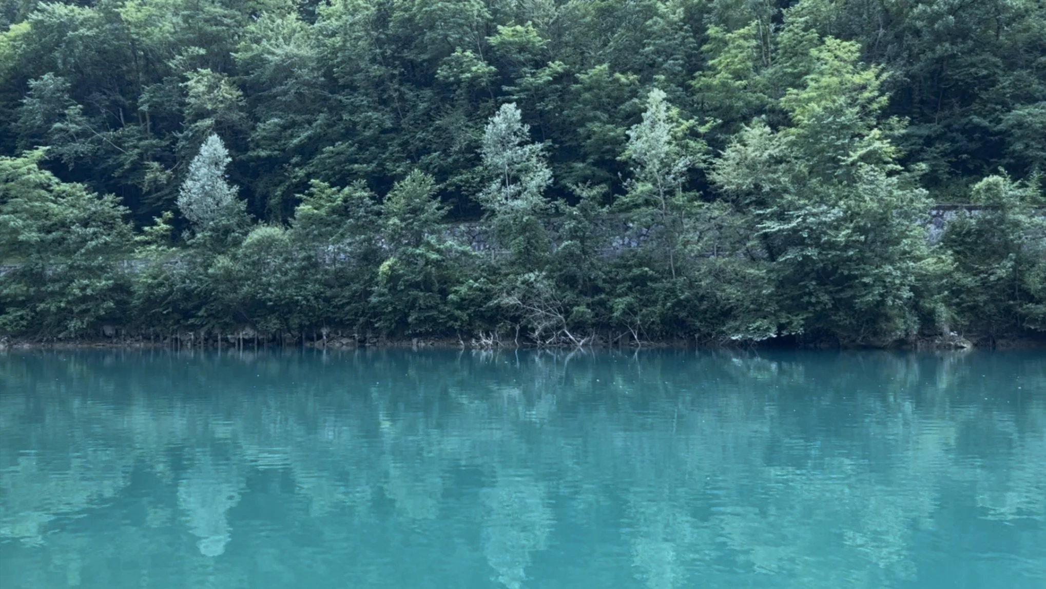 scene 8 untitled, Soča River