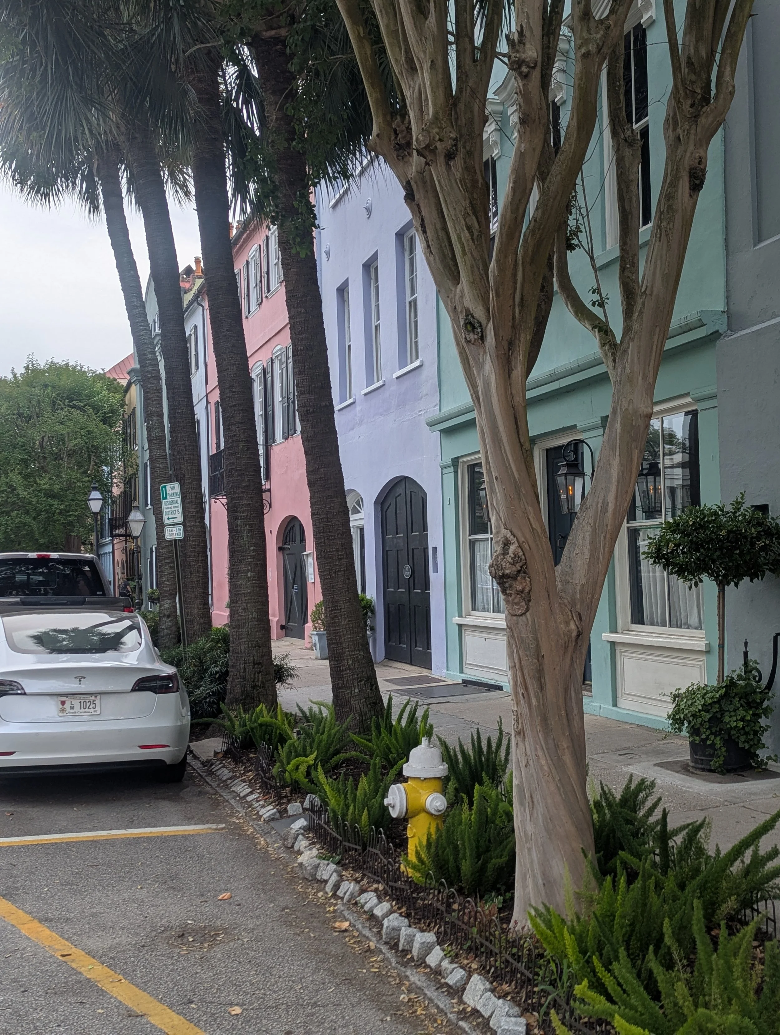 A street scene with parked cars, colorful townhouses, palm trees, and greenery. The buildings are pastel shades of pink, blue, and light green. There are street lamps, a fire hydrant, and a parking sign visible.
