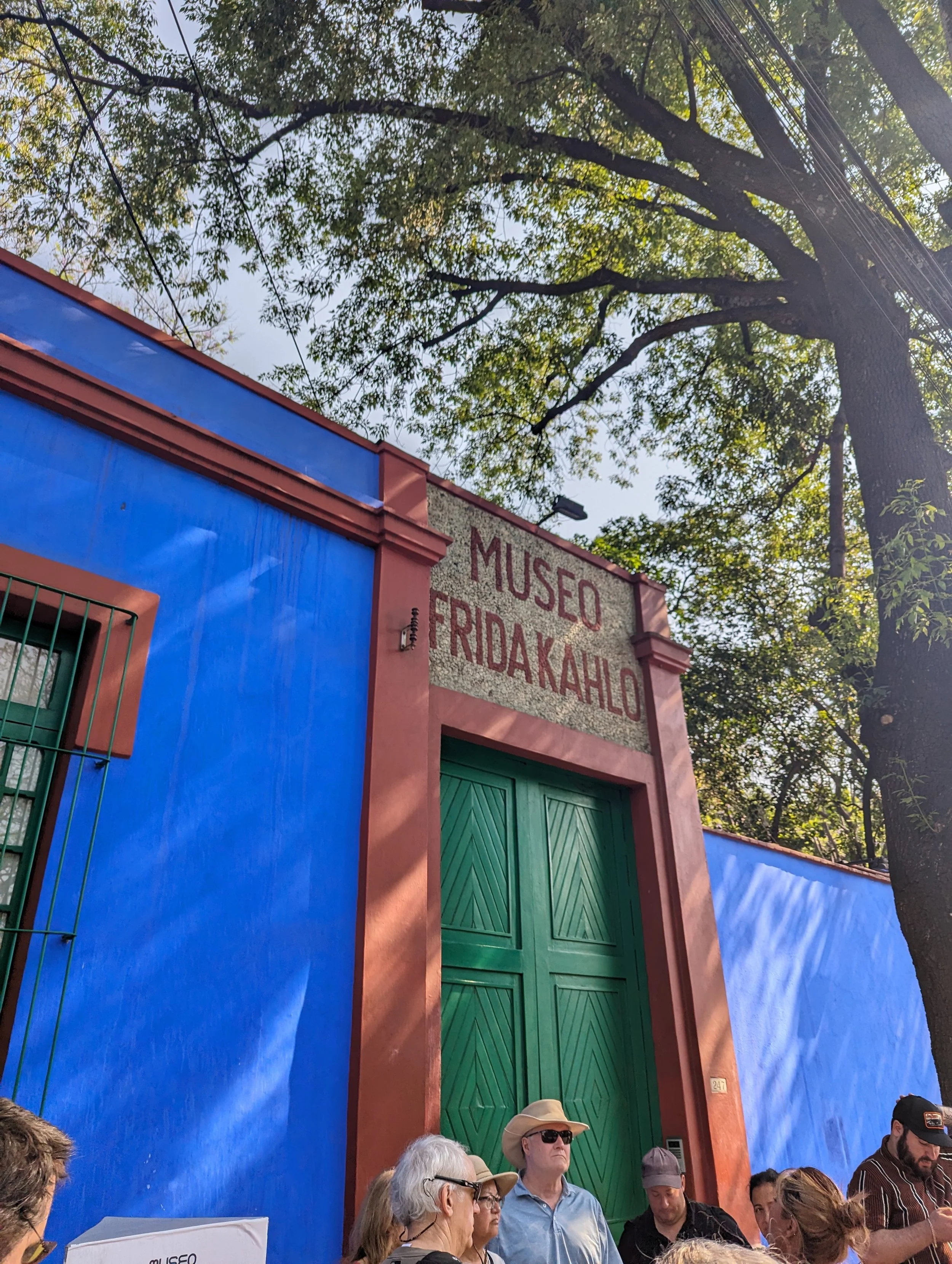 People gather in front of a colorful pink and blue building with a sign that reads 'Museo Frida Kahlo.' A large tree with green leaves is visible above the building, and several people are wearing hats and sunglasses, some looking towards the camera.