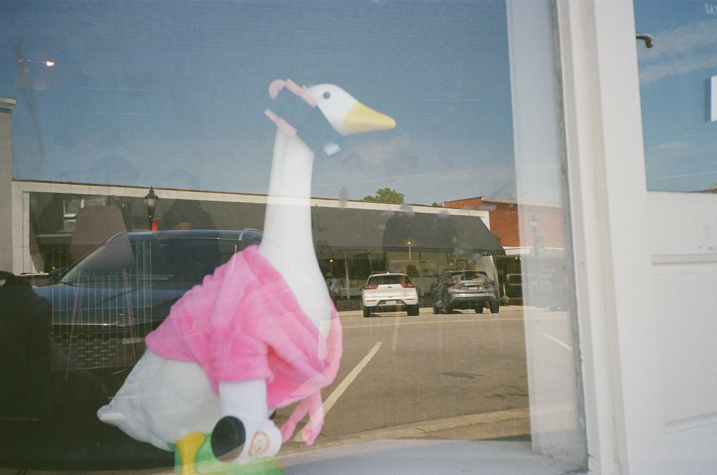 Ultramax-21.jpg