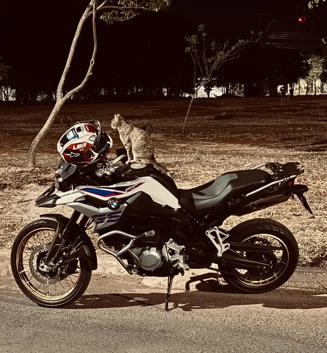 Liberdade, Desafio e o Peso da Estrutura: A Vida Sobre Duas Rodas no Dia do Motociclista