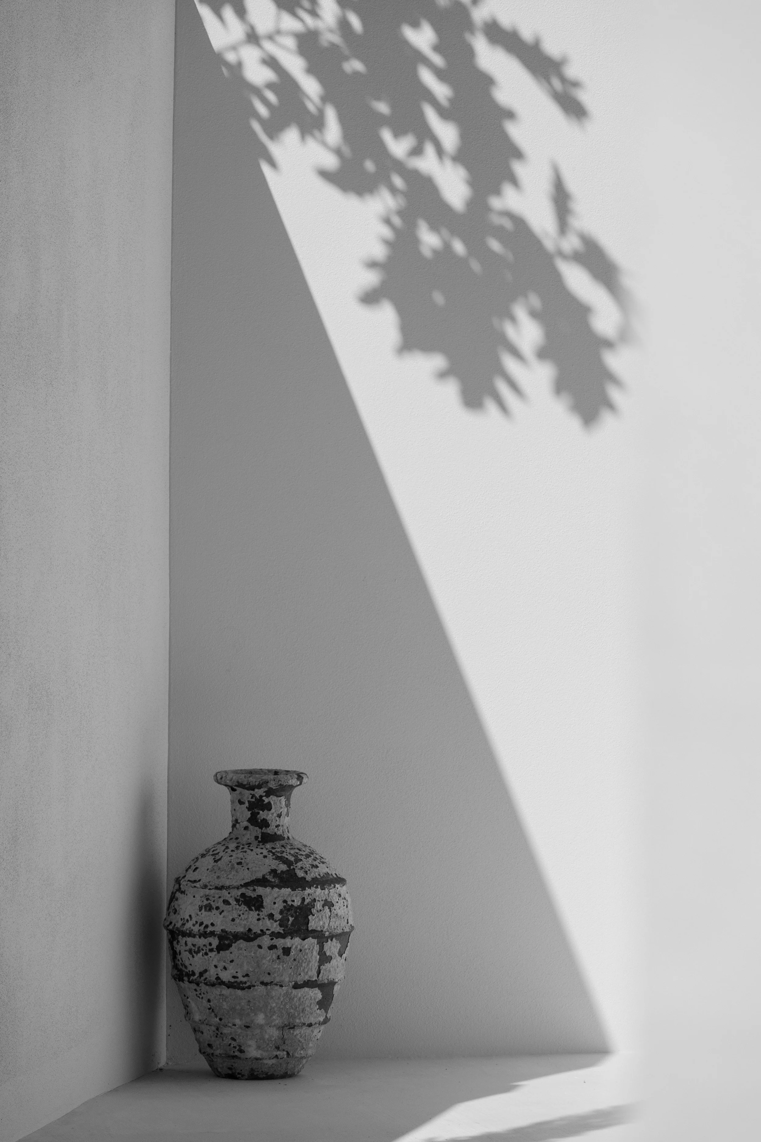 A black and white photograph of an ancient ceramic vase with a rounded body and narrow neck, decorated with black abstract patterns, placed in a corner against a white wall. A shadow of a leafy branch is cast on the wall behind the vase, with the shadow extending diagonally across the upper portion of the image. A small round object is visible beneath the corner of the wall.