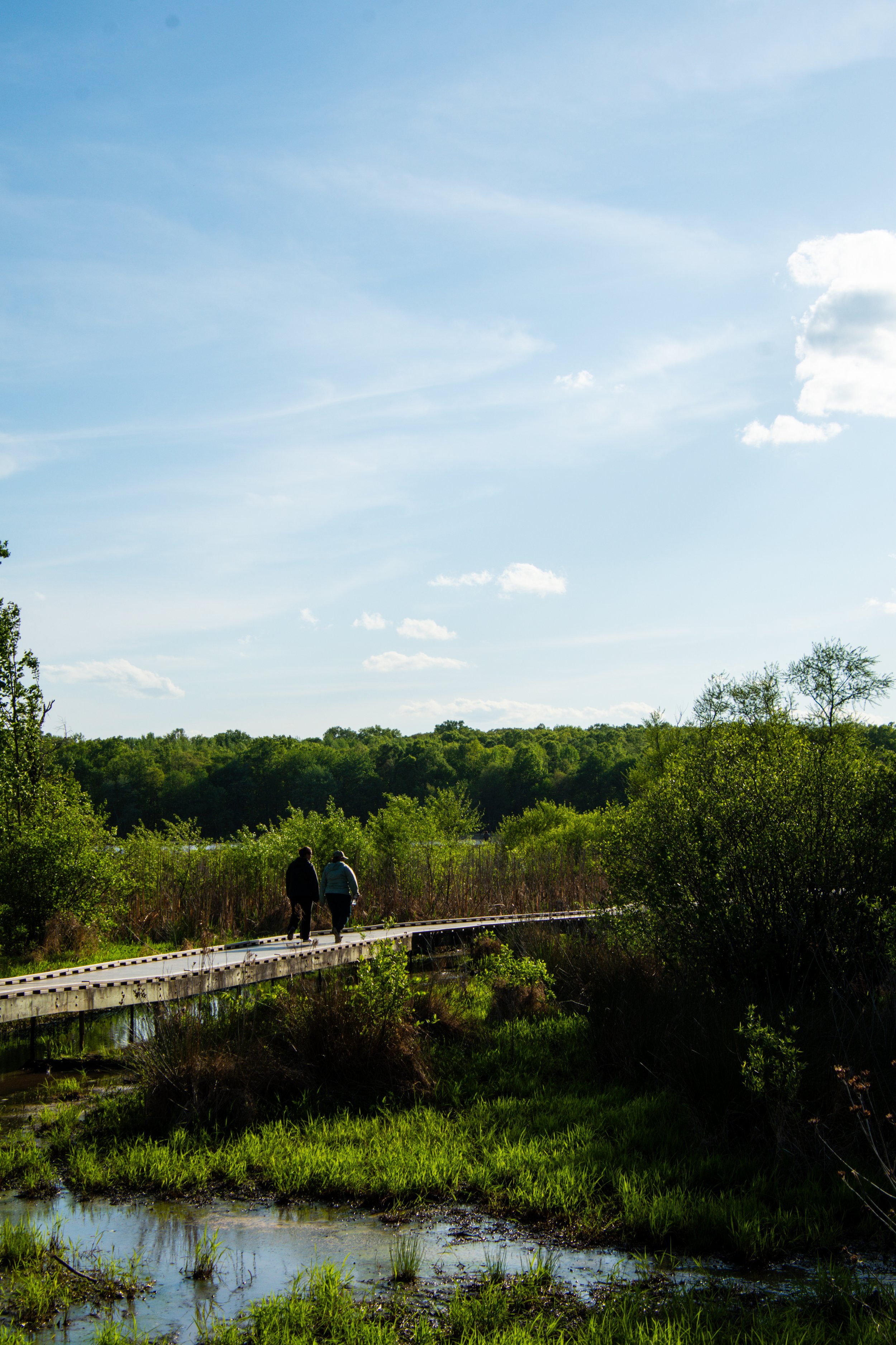 out birding-22.jpg