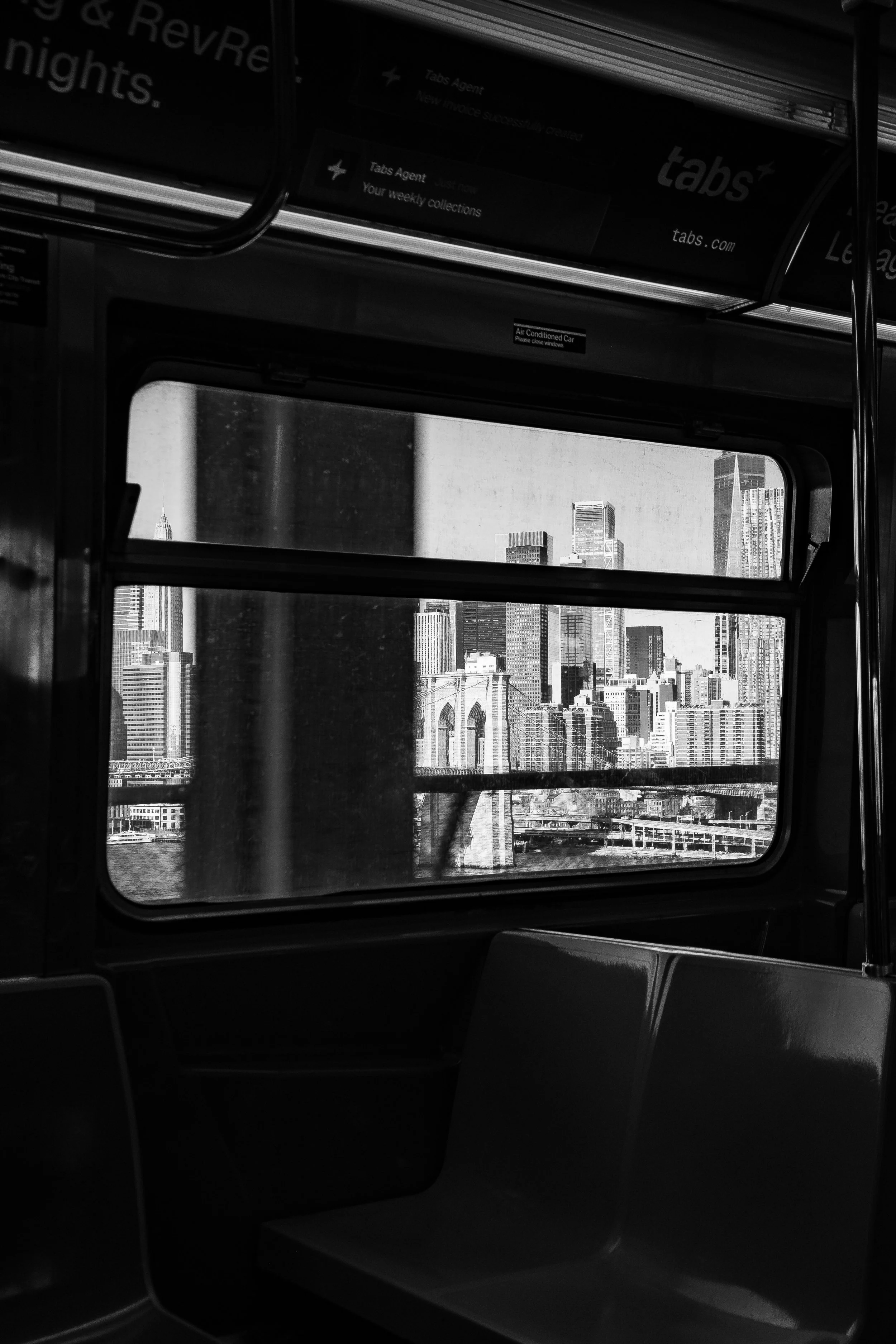day in the park-15.jpg