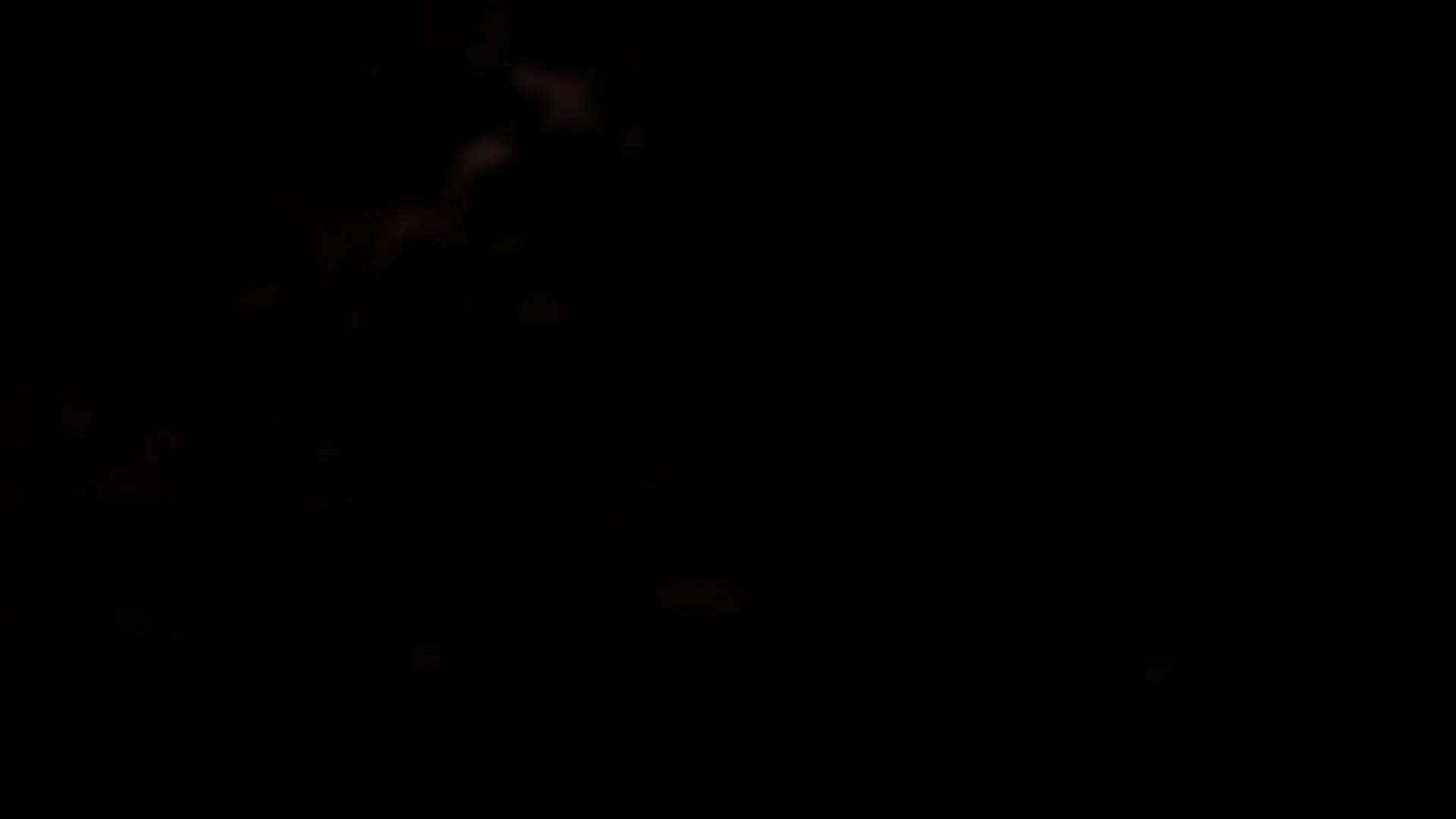 SimulationOfLucysVision.jpg