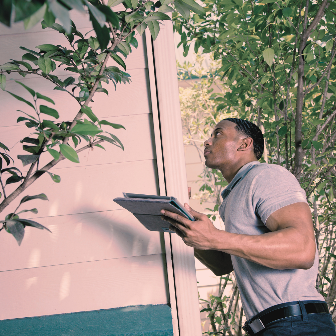 A man holding a tablet while inspecting the side of a house with siding, surrounded by green bushes.