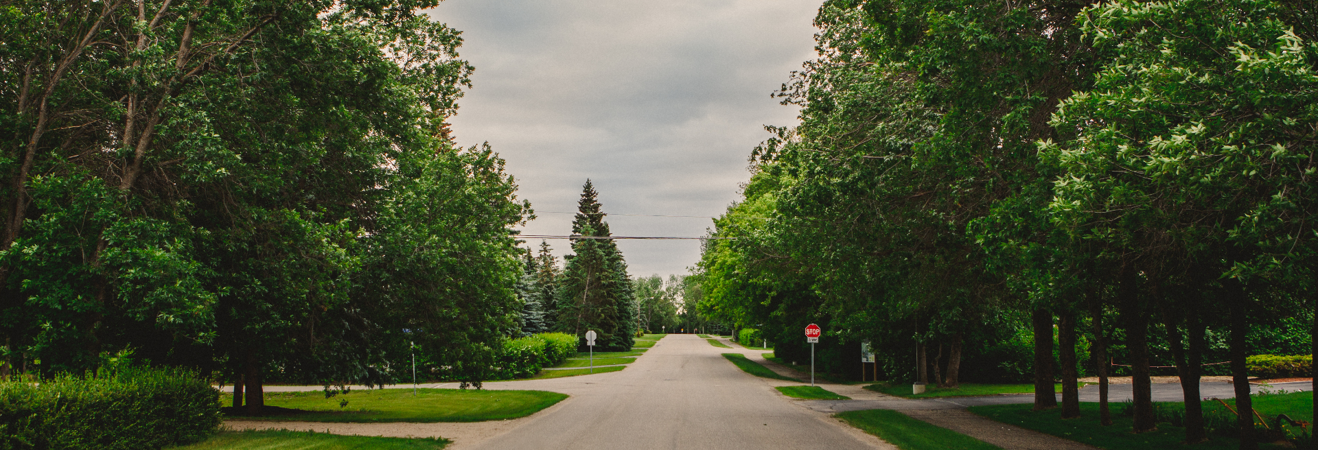 A quiet residential street with lush green trees lining both sides, a stop sign, and overcast skies.