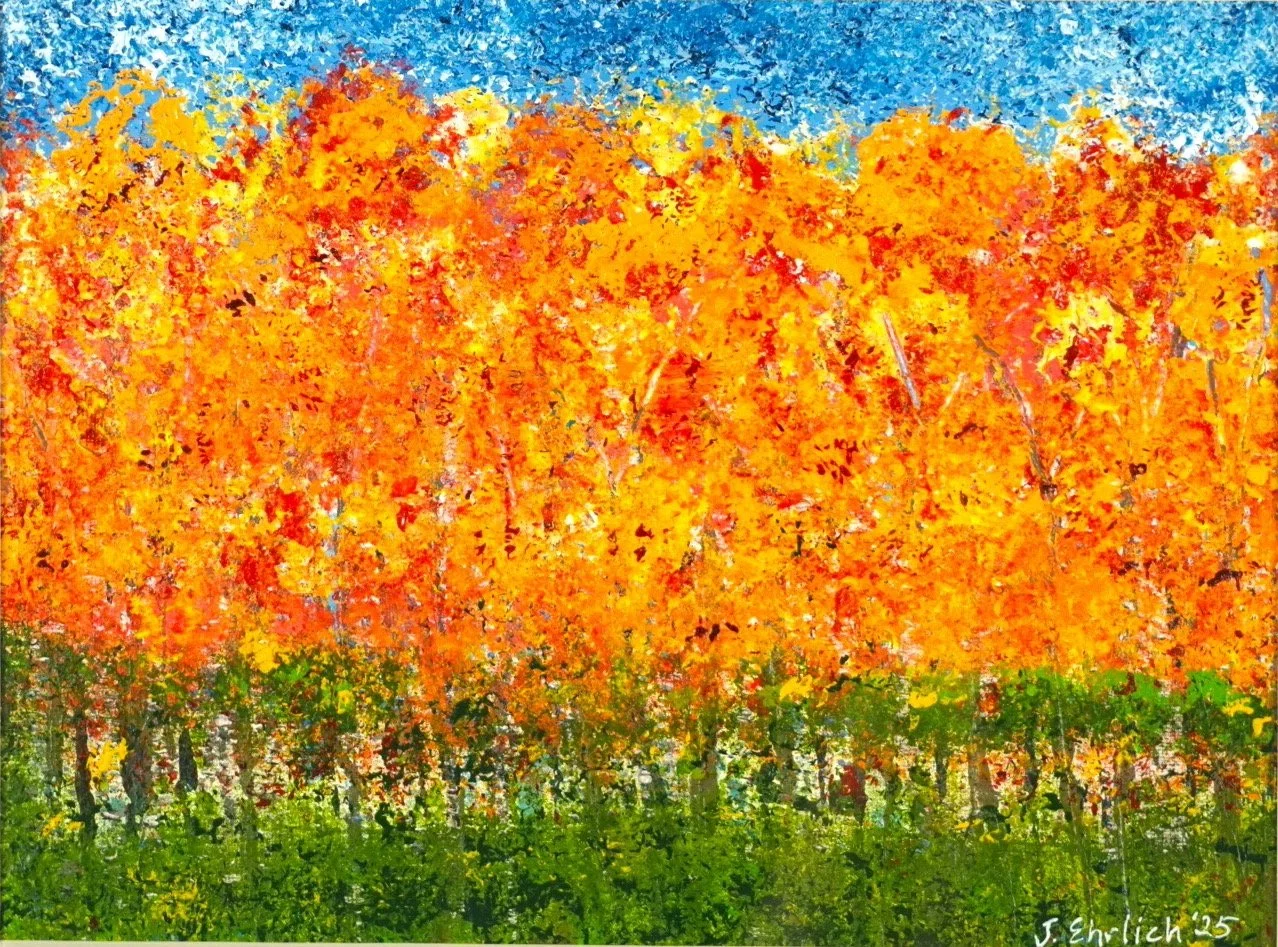orange-trees.JPG
