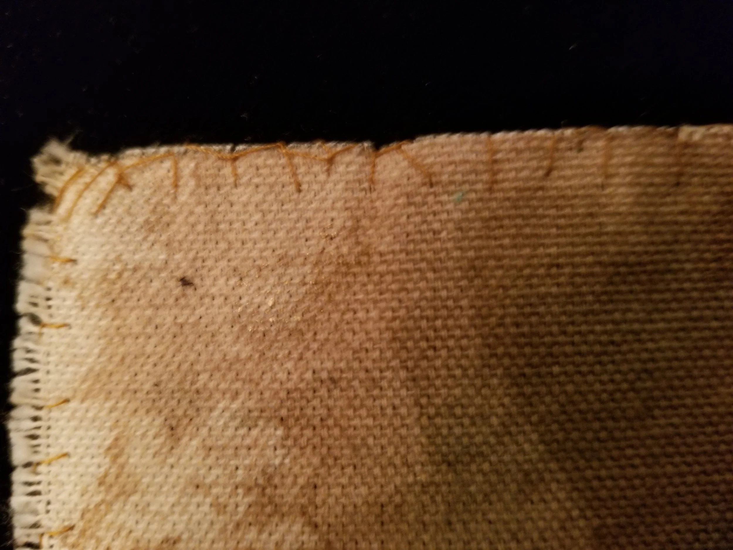 20260129_174357.jpg