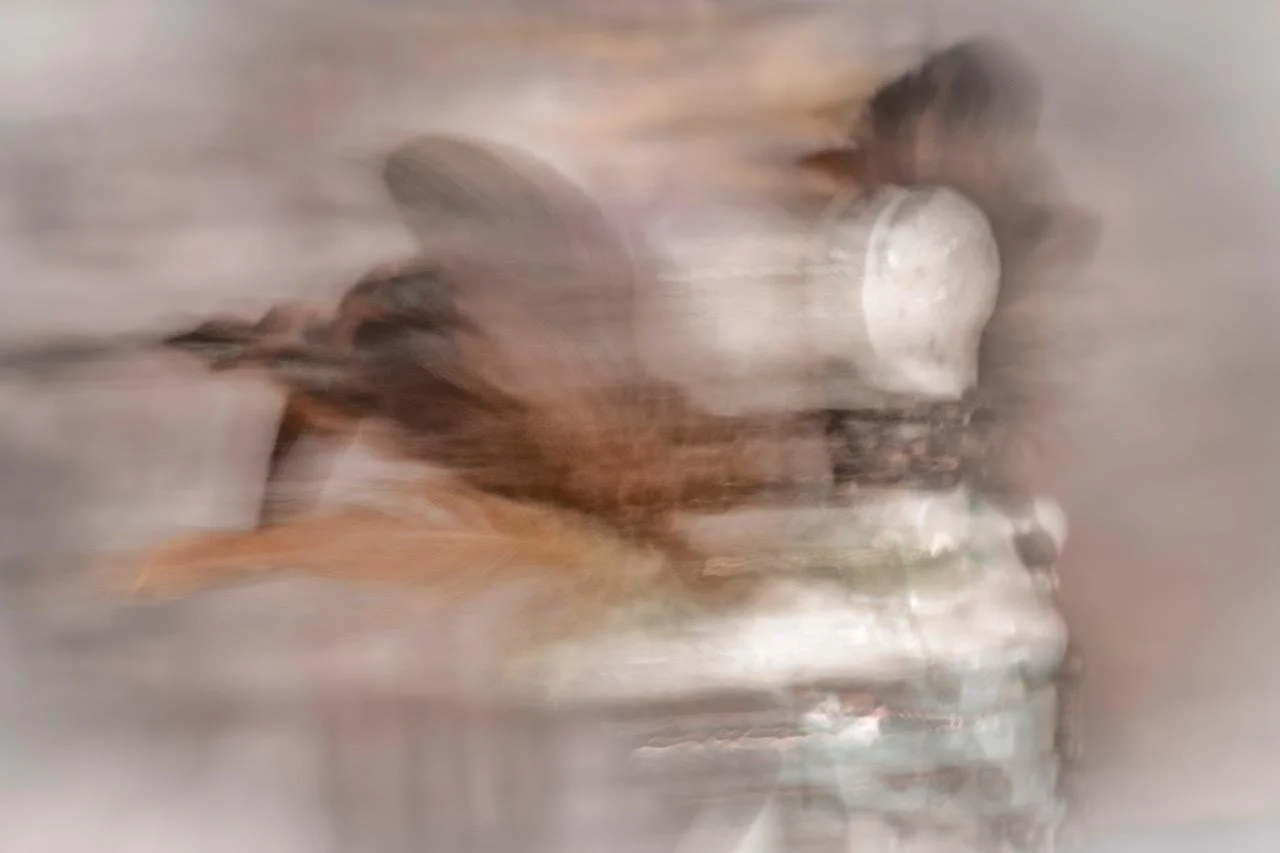 thumbnail.jpeg