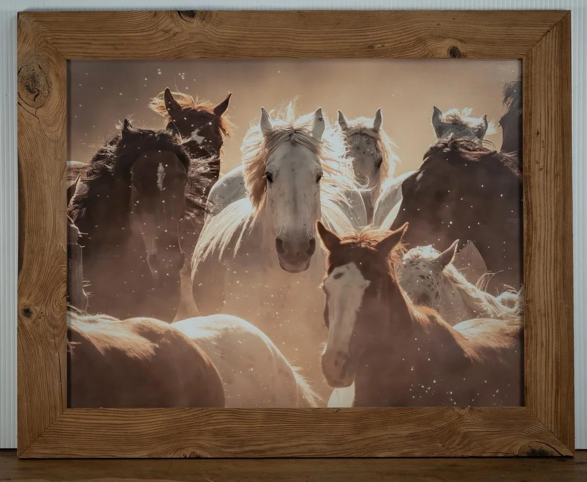 Running Herd - The Idaho Series