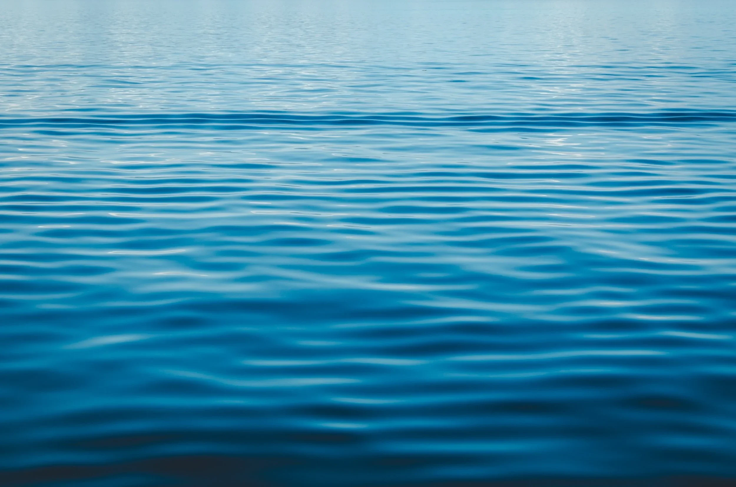jonas-verstuyft-183630-unsplash.webp