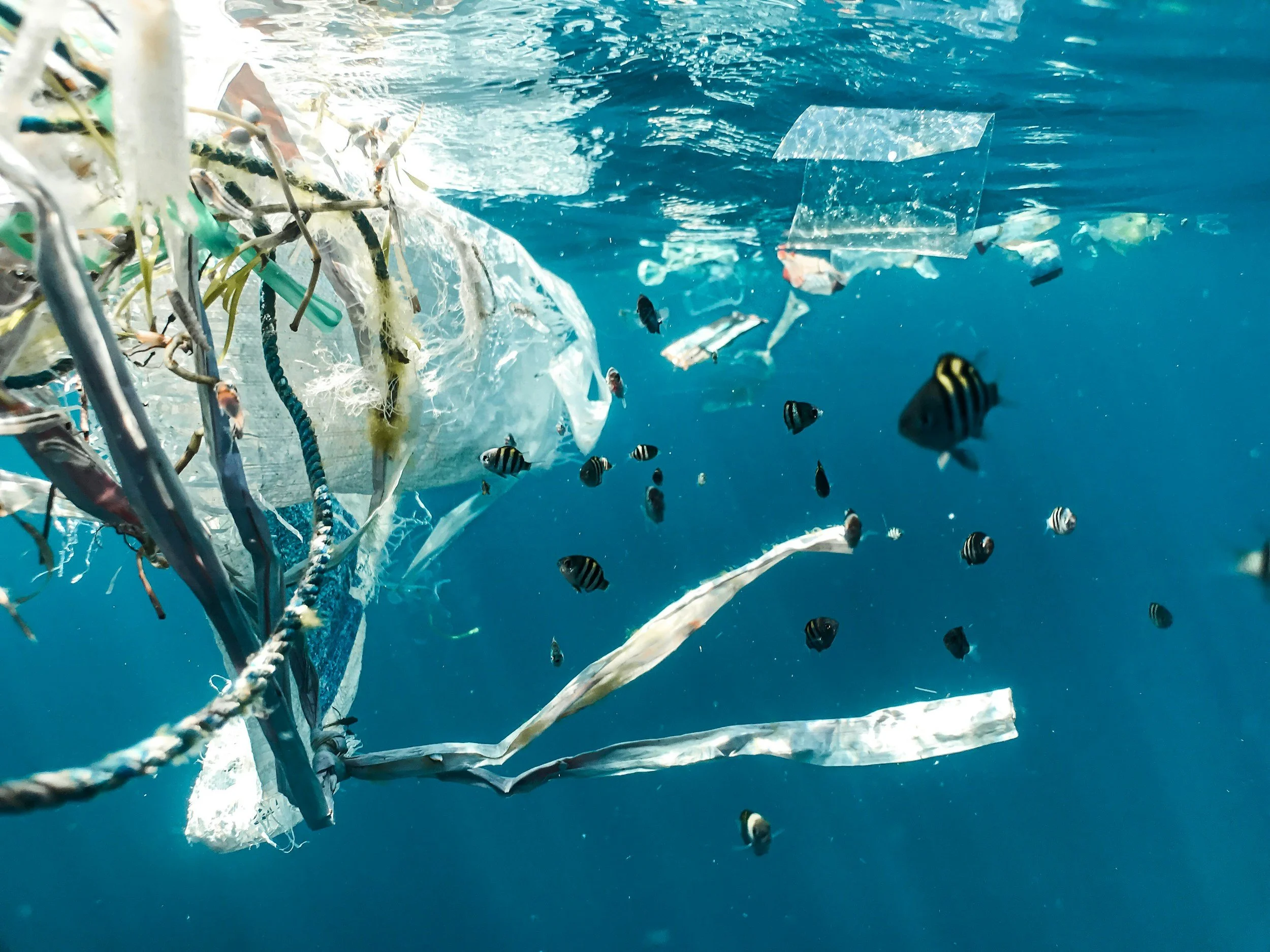 Plastic bags and other garbage under water