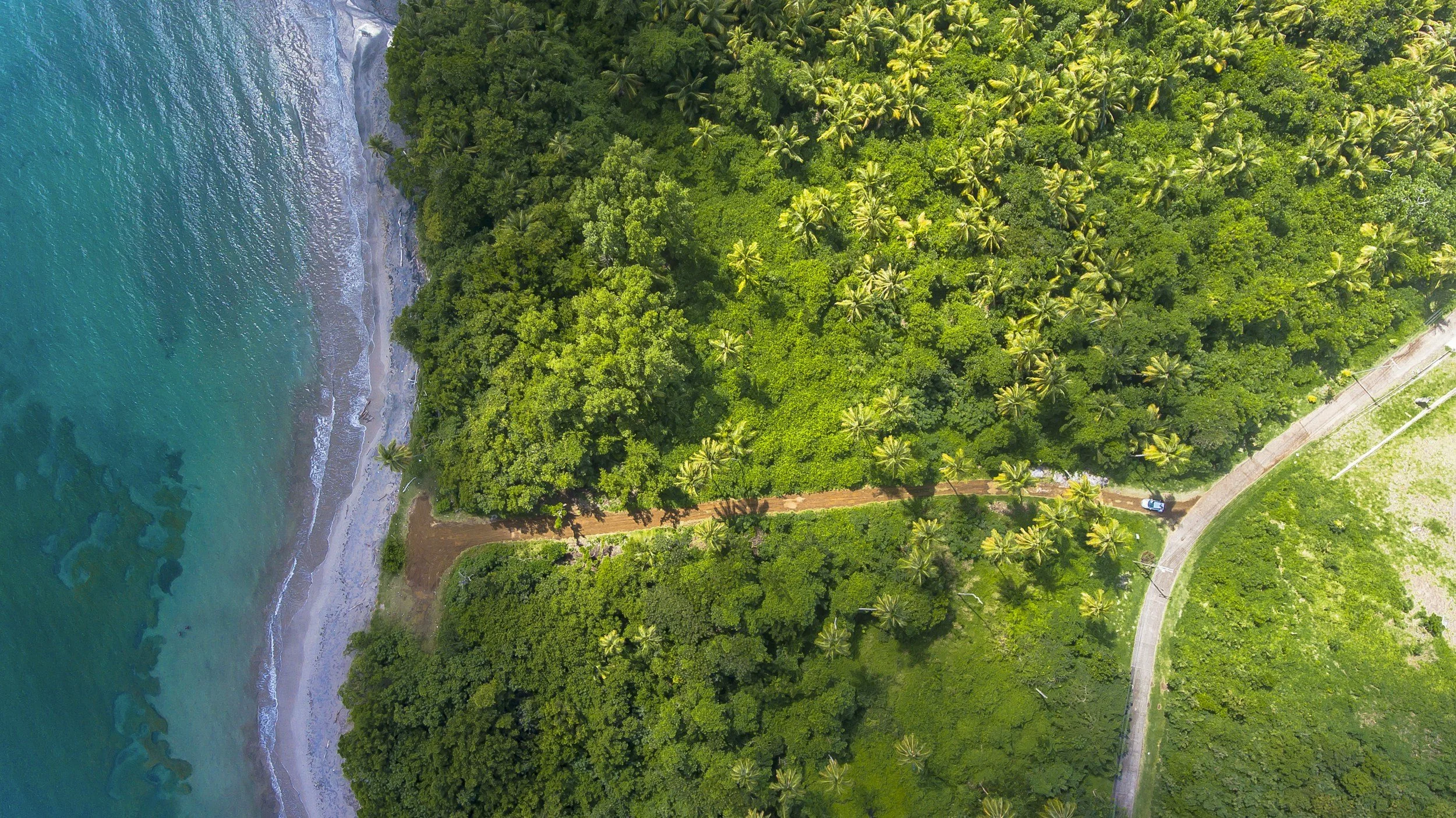 Aerial view of a beach and a tropical forest
