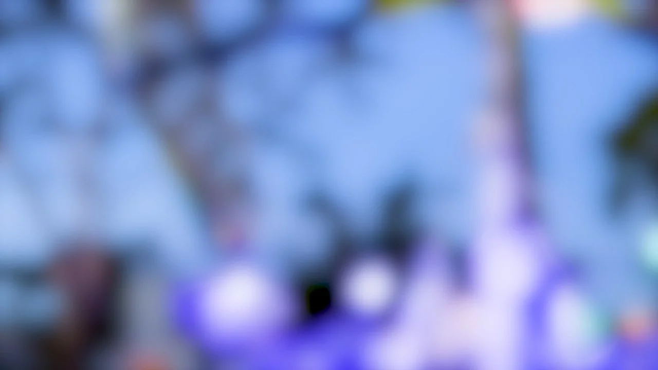 0_Festival_Ride_1280x720.jpg