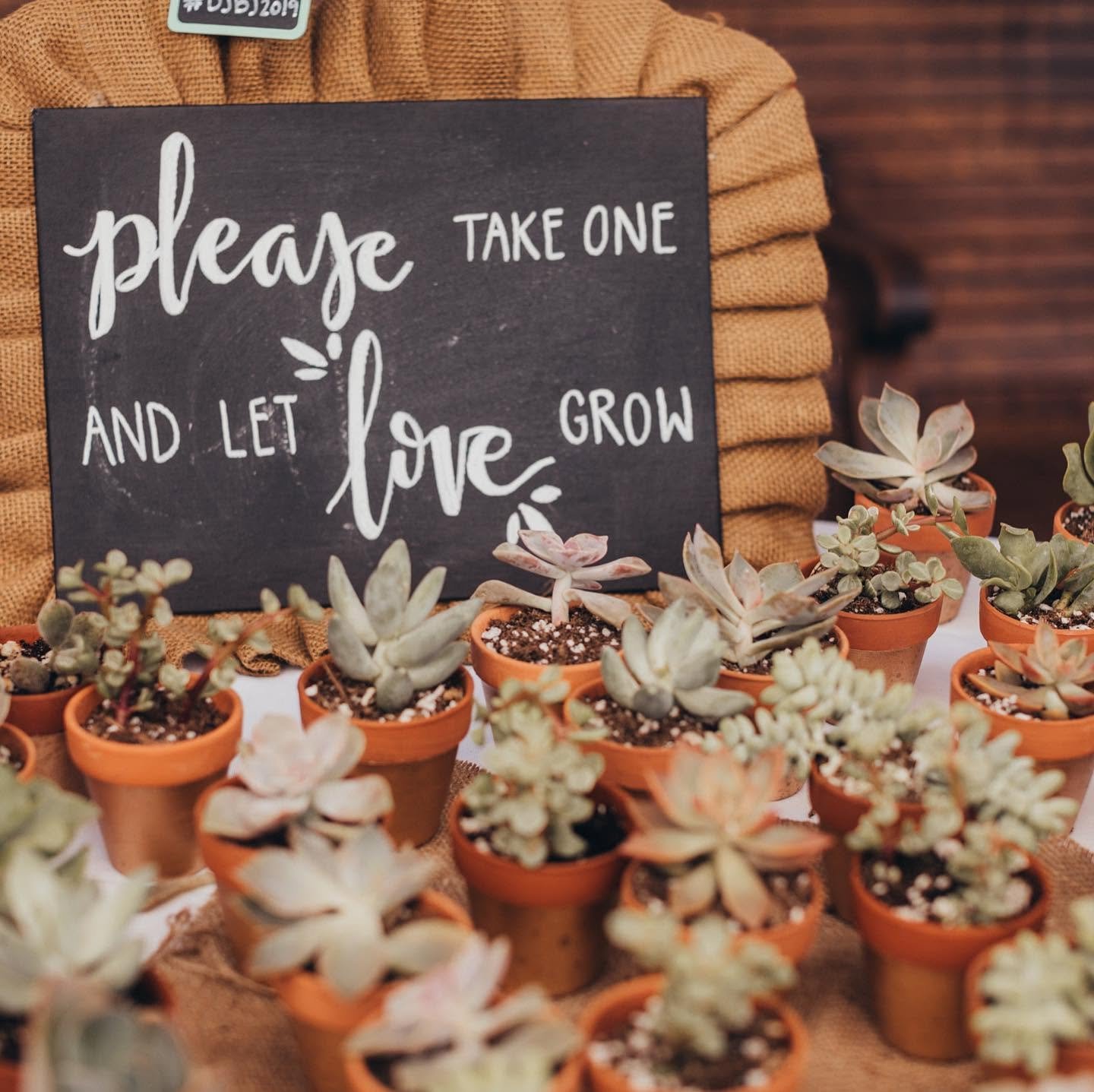Small potted succulents arranged in terracotta pots with a black sign that says, 'Please take one and let love grow,' in white cursive and print font.
