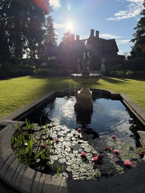 A stone fountain with water lilies in a garden, with a mansion and trees in the background, under a bright sky with the sun shining.