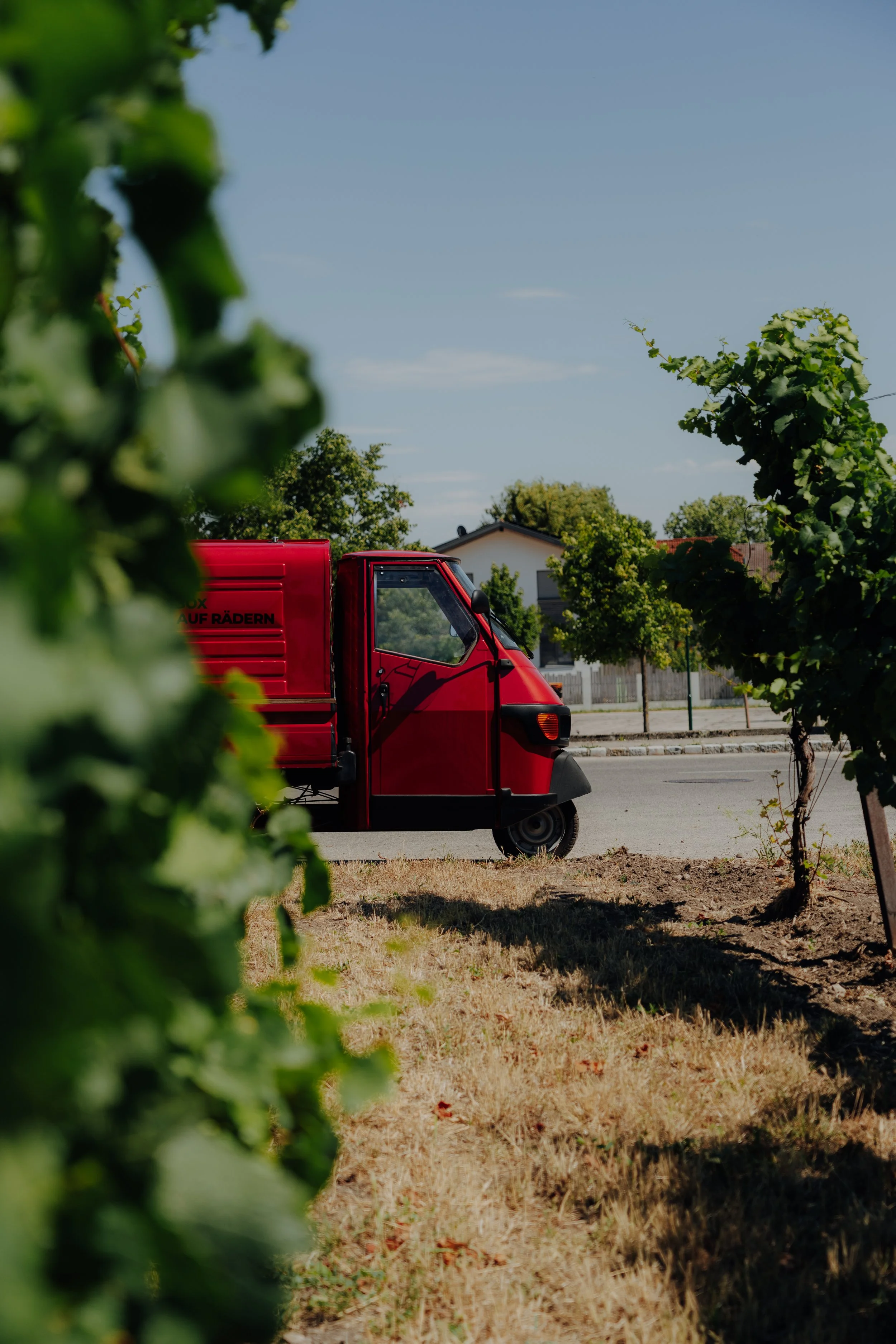 Roter Lieferwagen, sichtbar teilweise durch Weinreben im Vordergrund, parkend an einer Straße in einer Wohngegend.