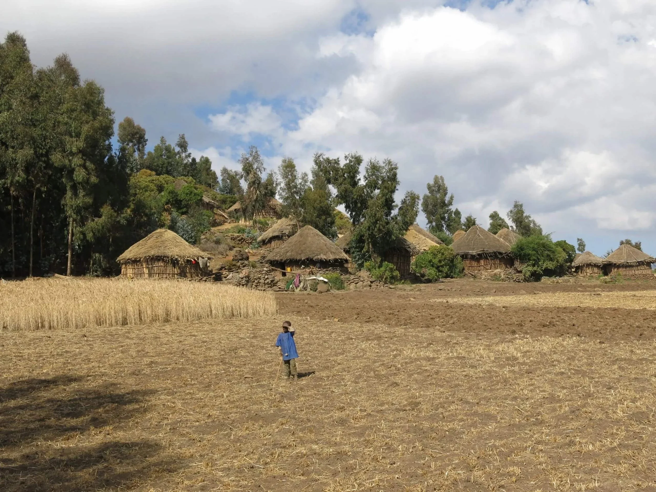 A rural village with thatched roofs houses surrounded by fields and trees under a partly cloudy sky. Two children are seen, one in a blue dress and another in dark clothing walking through the field.