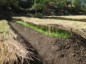 A rural scene with freshly plowed fields and green crops, surrounded by trees and rocky terrain in the background.