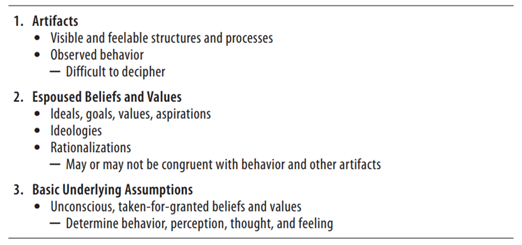 A section of a document with three main headings and bullet points, discussing artifacts, beliefs and values, and underlying assumptions.