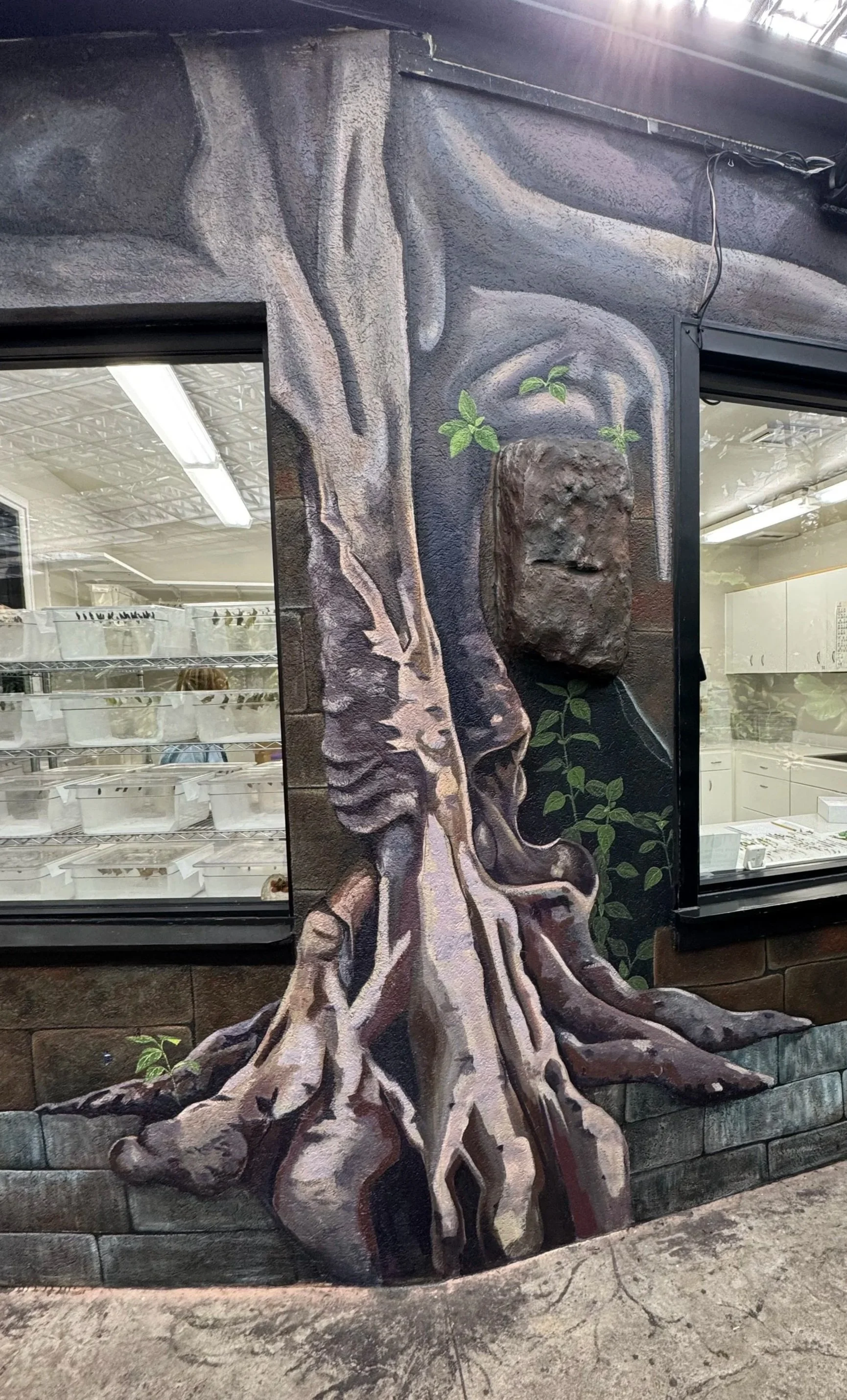 IMG_2718-Amanda-messick-mural.jpg
