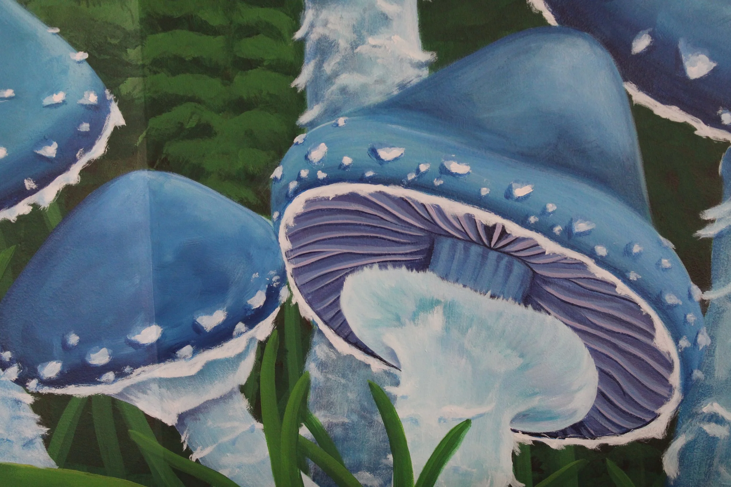 IMG_6879-Amanda-messick-mural.JPG