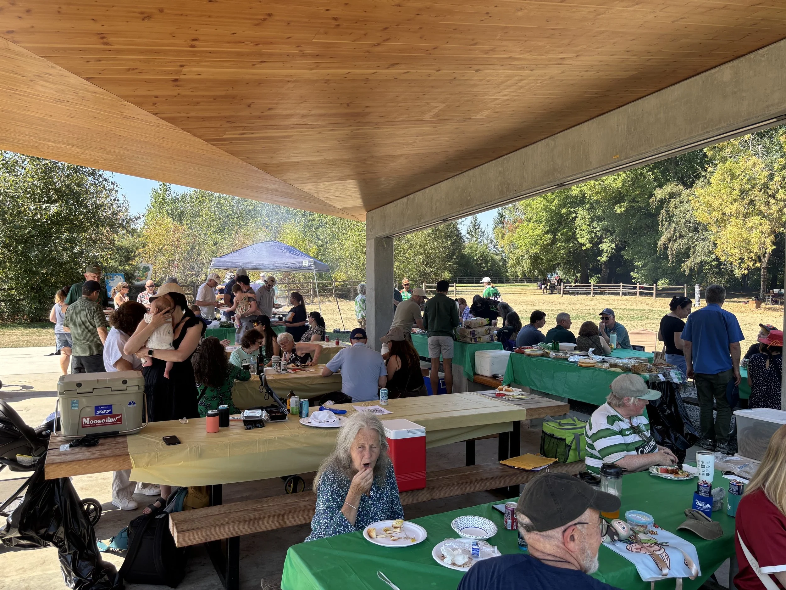 Irish Community Summer Picnic