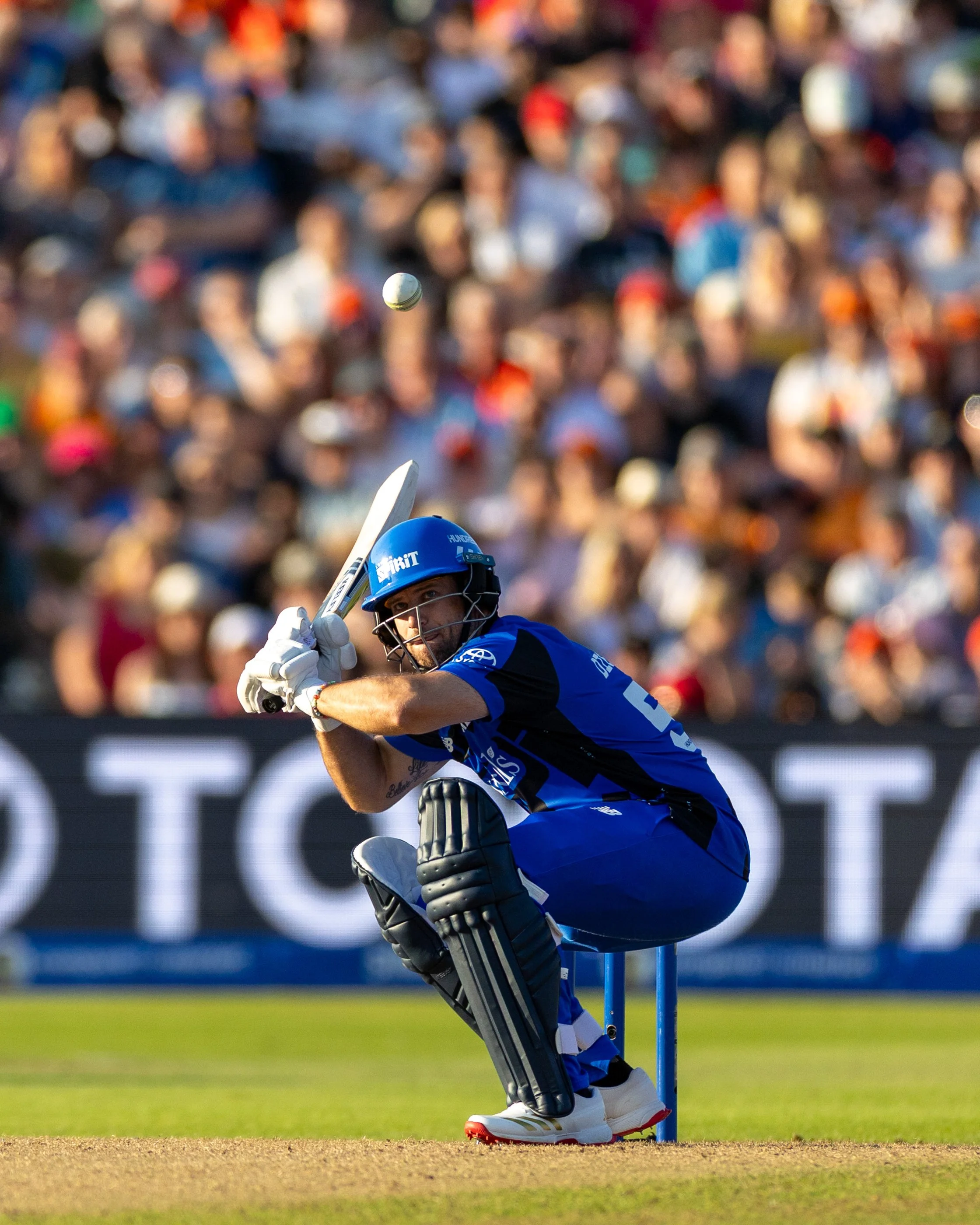 A cricket player is preparing to hit the ball with a bat during a game, with a crowd of spectators in the background.