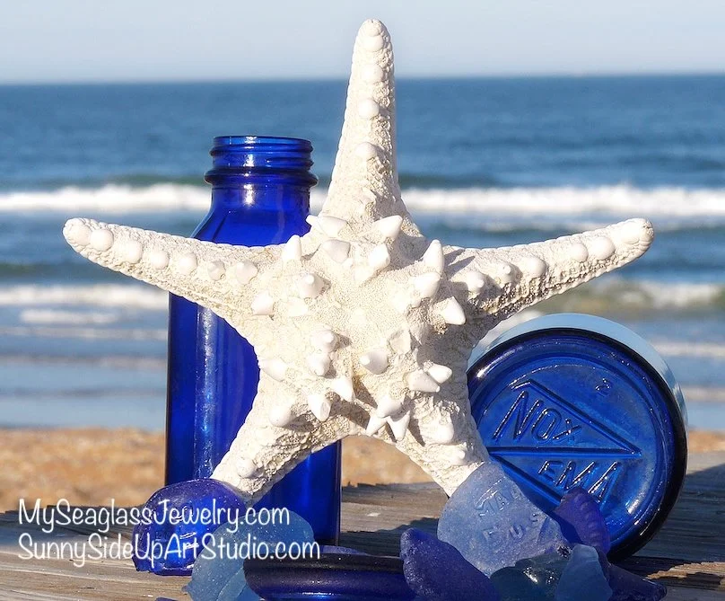 A starfish with white spikes resting on a blue bottle and a blue can against a beach and ocean background.