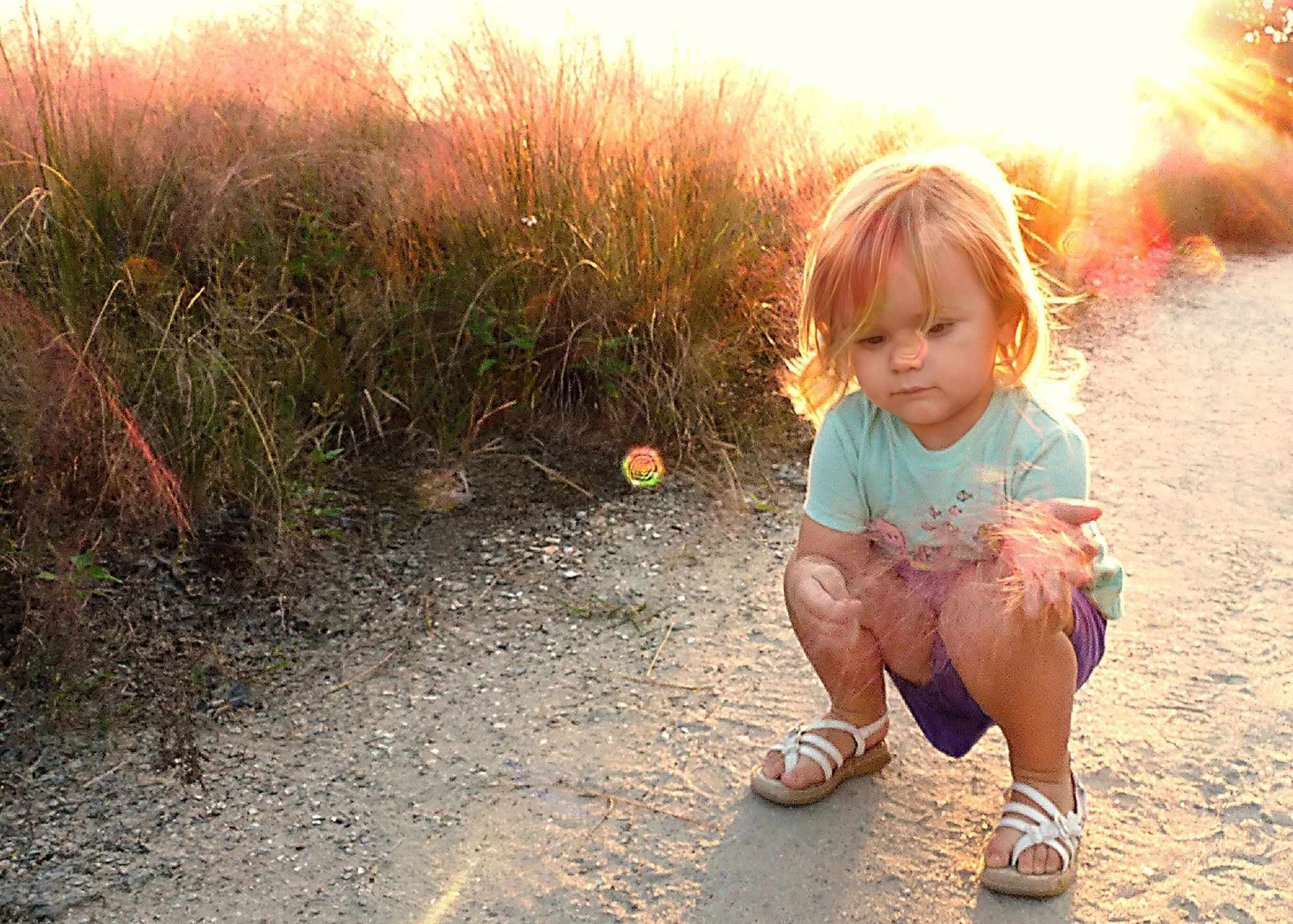 A young girl with blonde hair wearing a light blue top and purple shorts, squatting on a beach trail during sunset, with tall grass and bushes on the side.